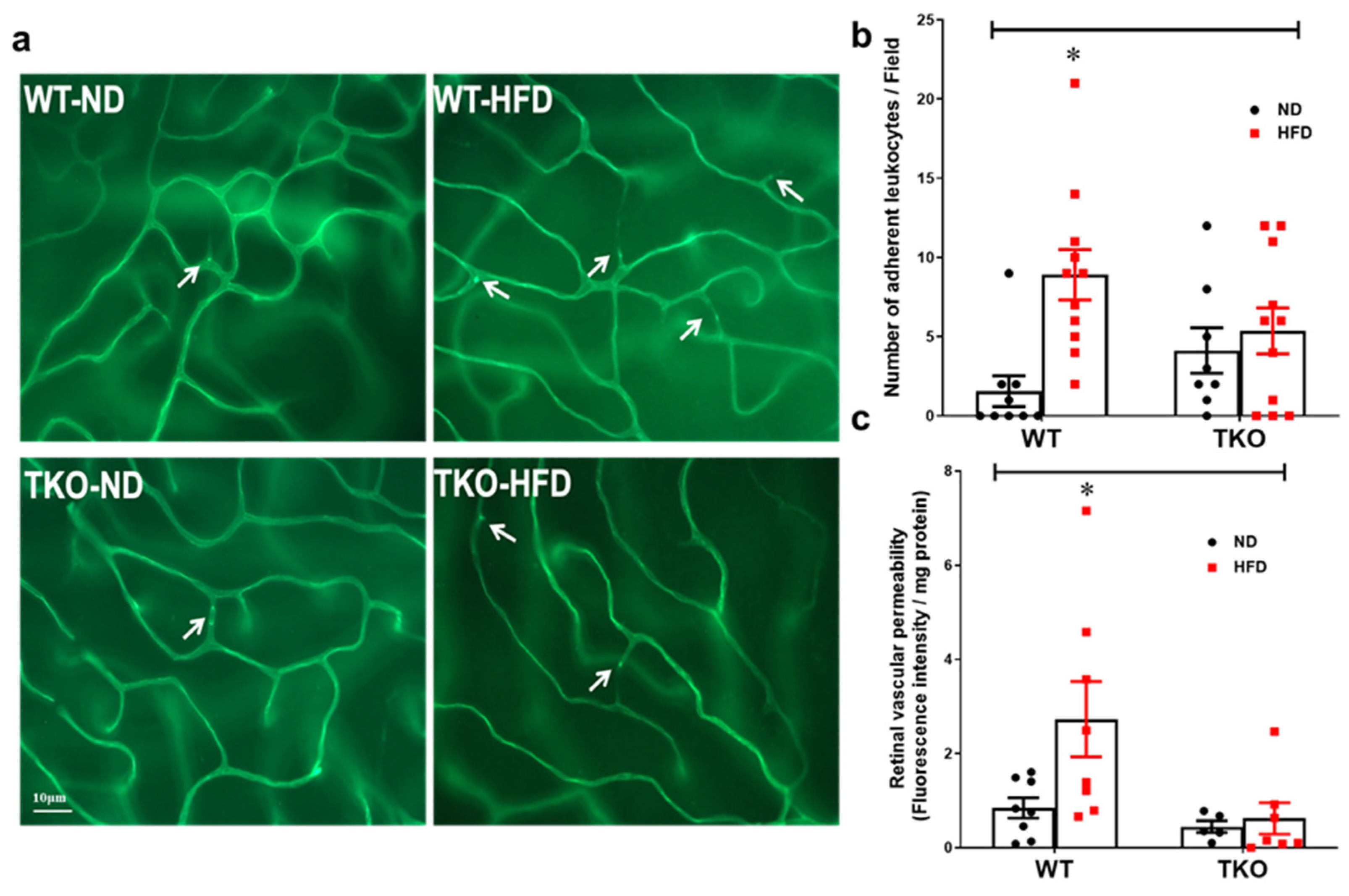 Ijms 21 03983 g002 Ijms 21 03983 g002
