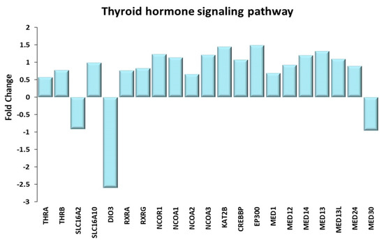 Skeletal Muscle Gene Expression in Long-Term Endurance and Resistance ...