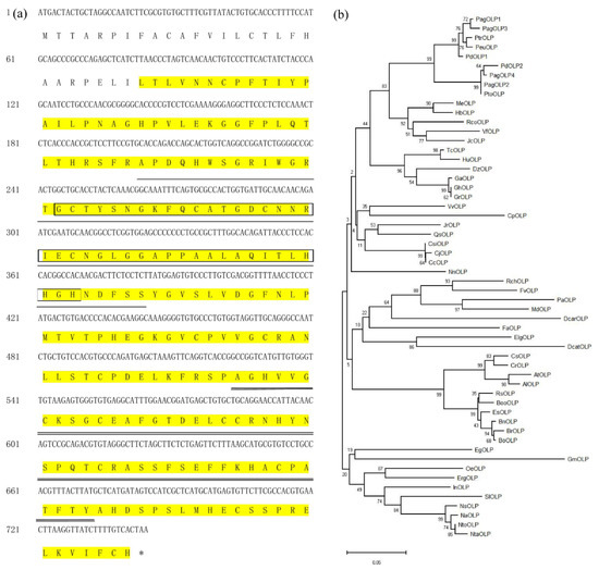 The Osmotin-Like Protein Gene PdOLP1 Is Involved in