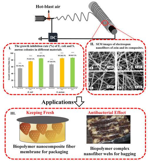 Recent Advances in Electrospun Sustainable Composites for