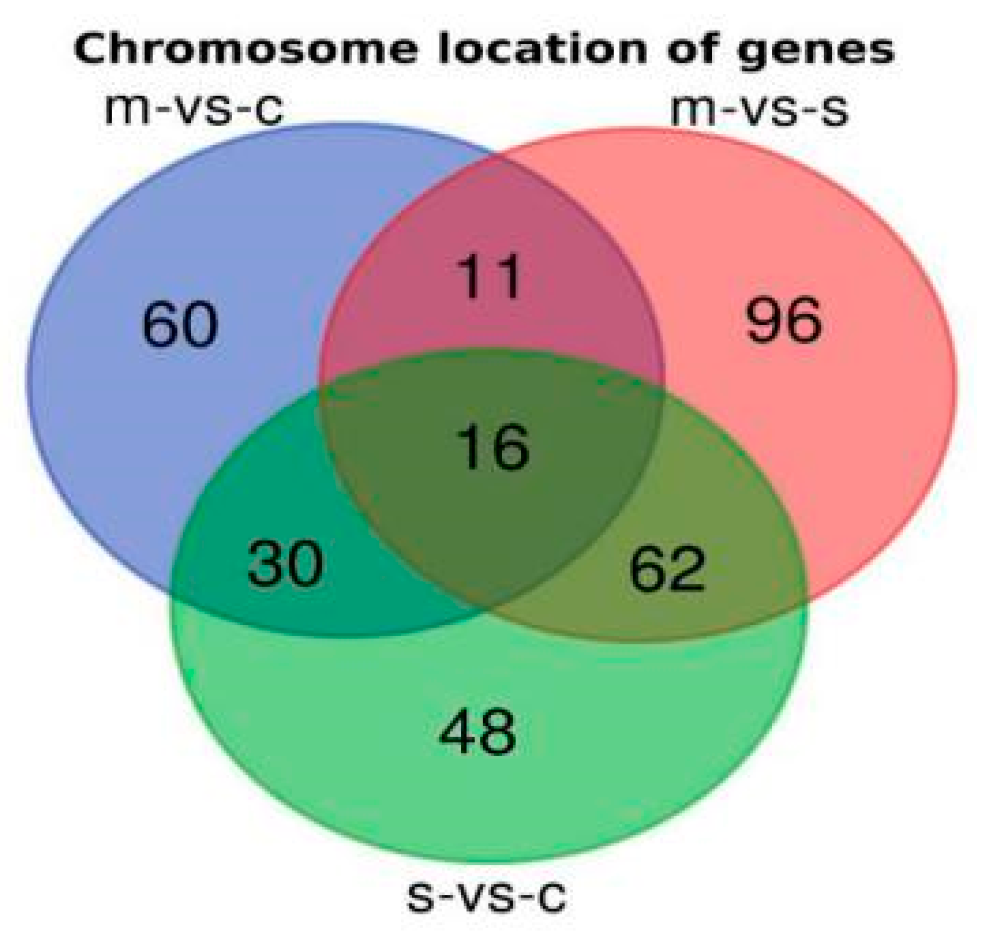 Ijms 21 04022 g002 Ijms 21 04022 g002