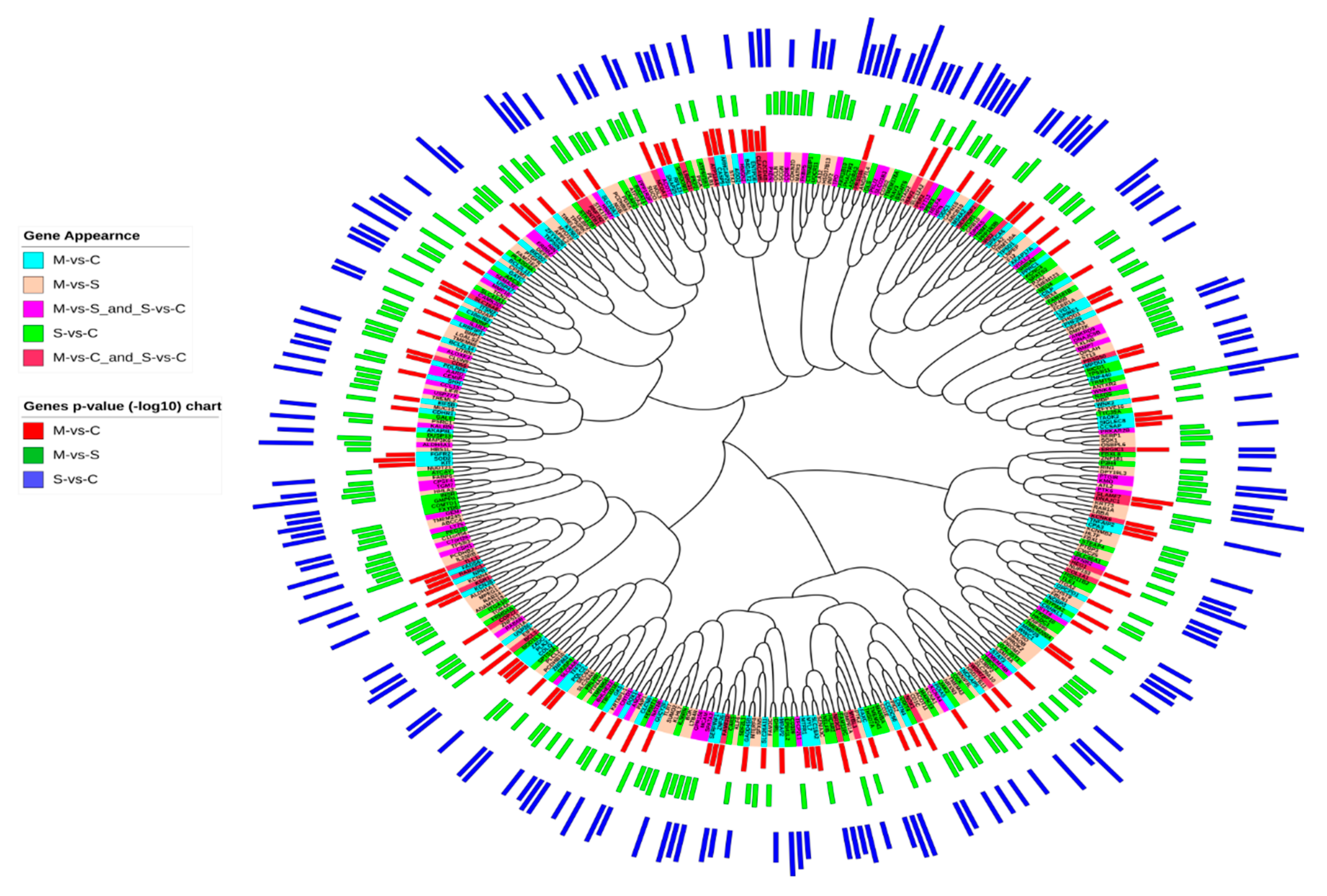 Ijms 21 04022 g003 Ijms 21 04022 g003