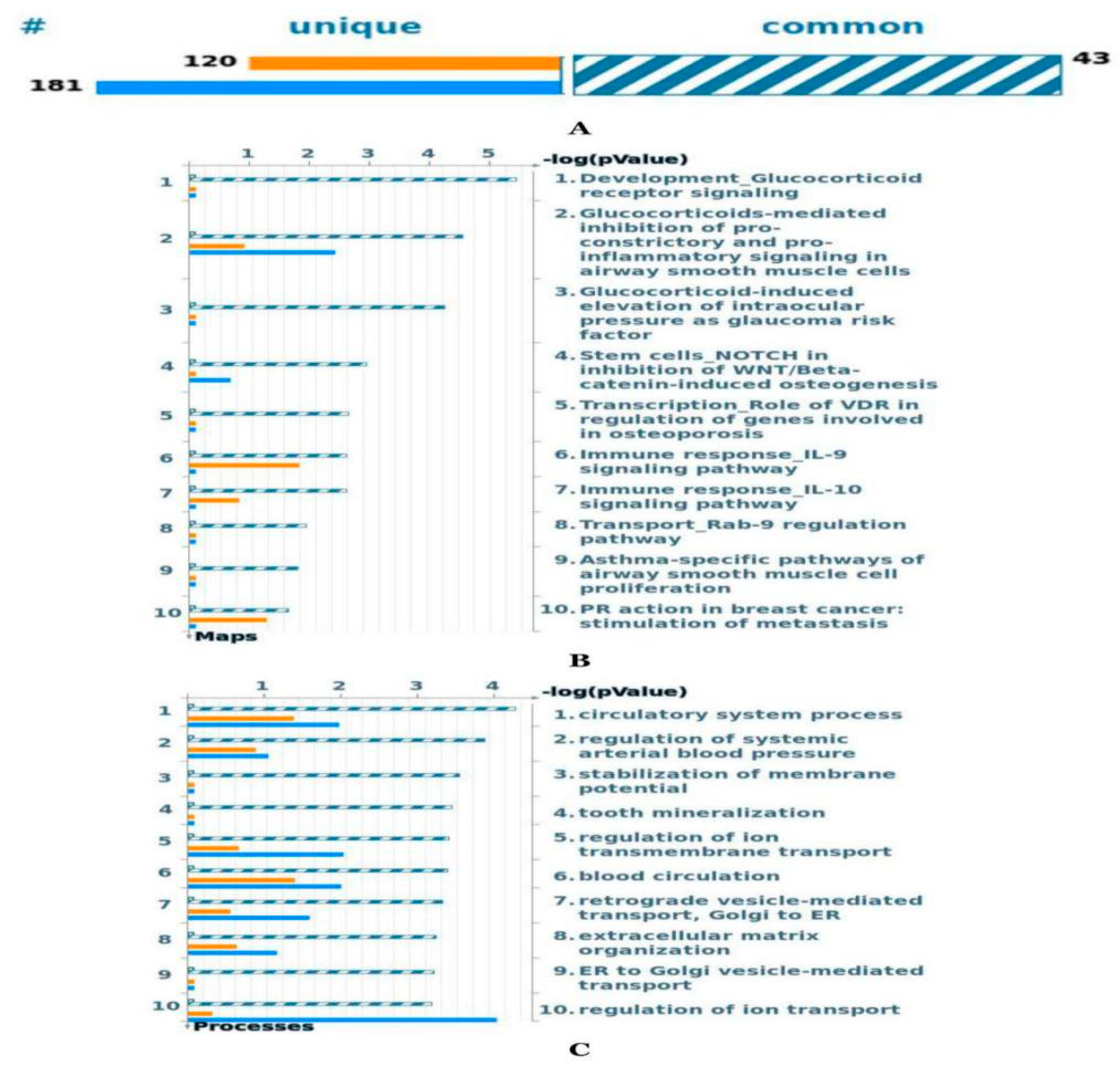 Ijms 21 04022 g006 Ijms 21 04022 g006