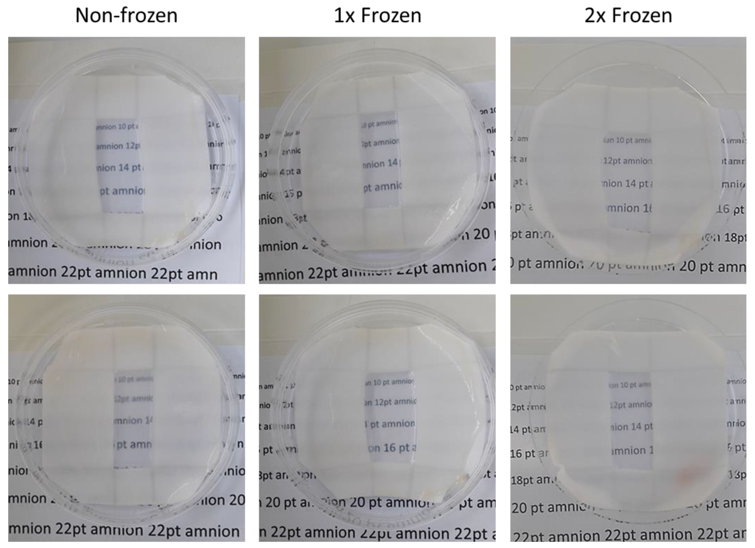 Ijms 21 04029 g006 Ijms 21 04029 g006