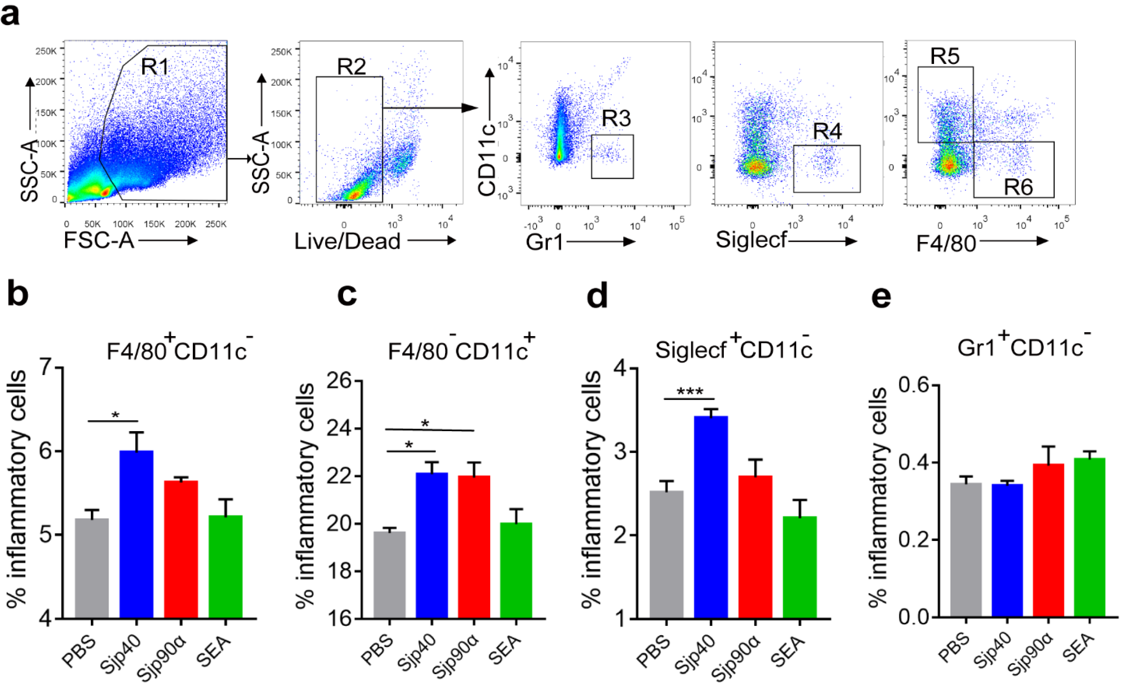 Ijms 21 04034 g005 Ijms 21 04034 g005
