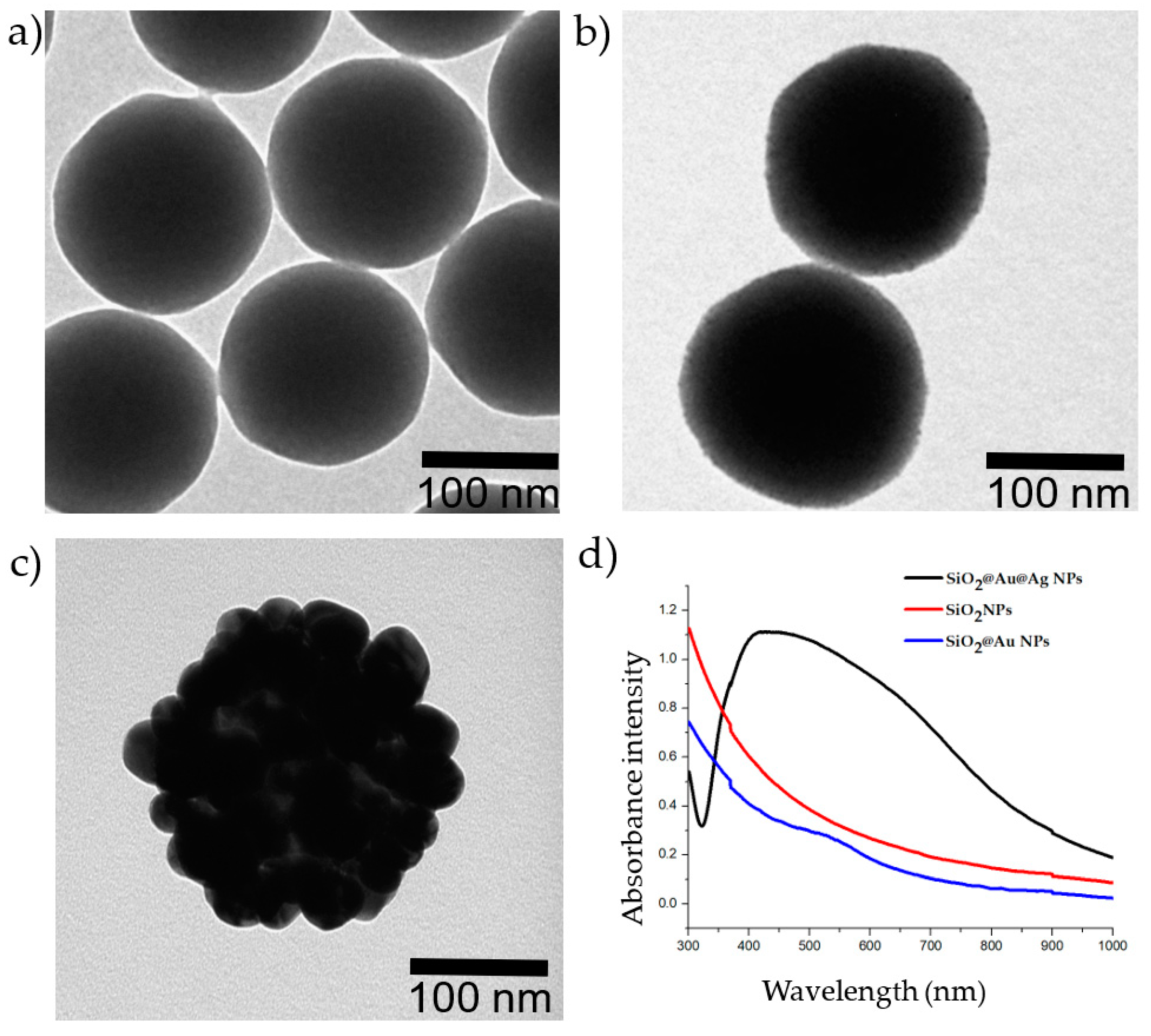 Ijms 21 04048 g001 Ijms 21 04048 g001