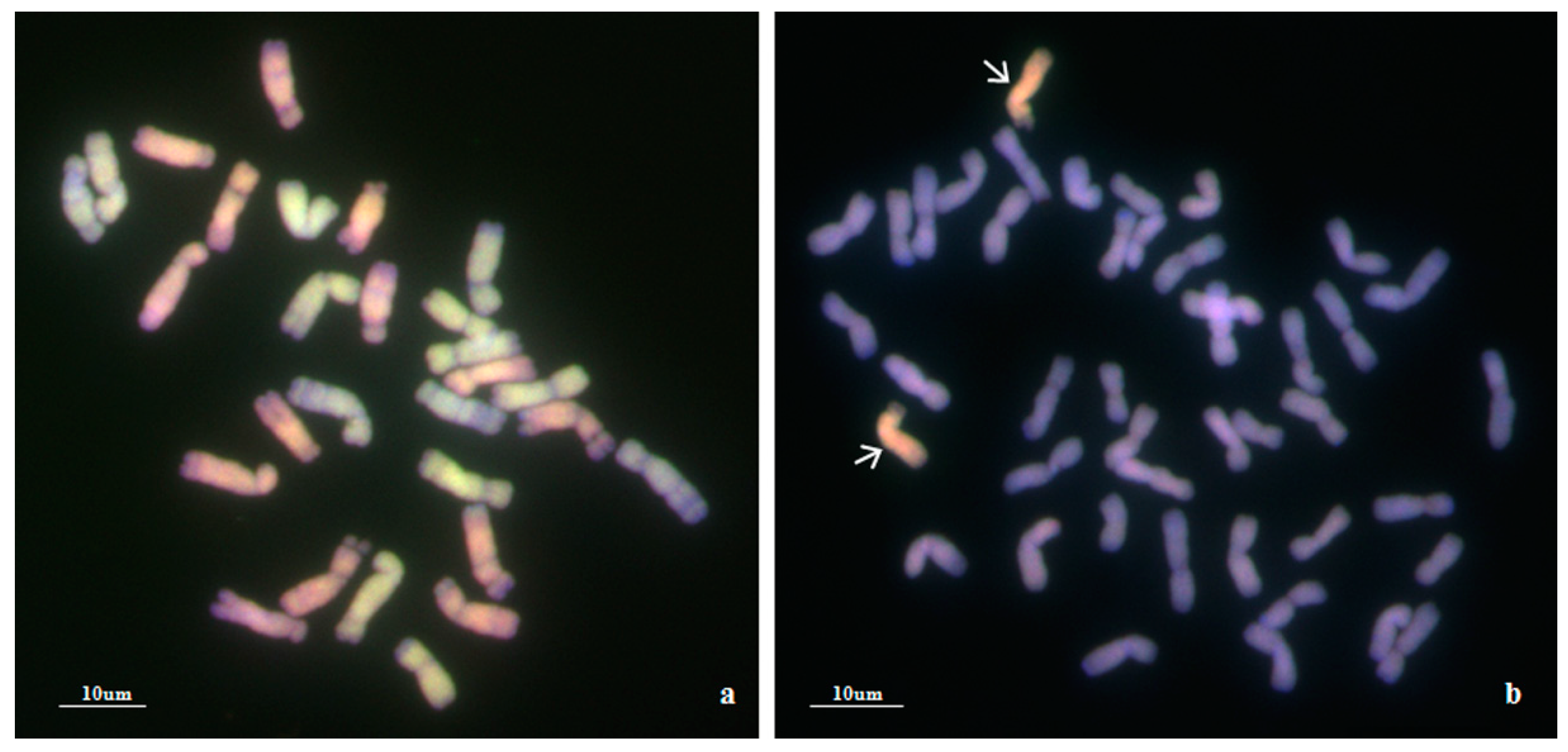 Ijms 21 04053 g002 Ijms 21 04053 g002