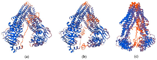 Homology Modeling of the Human P-glycoprotein (ABCB1) and