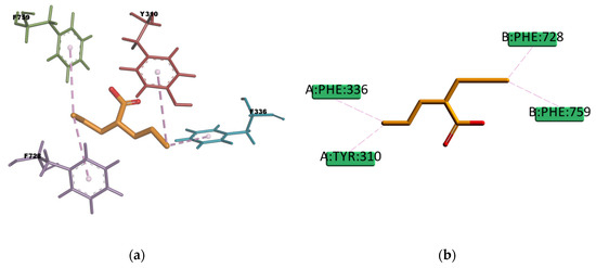 洋書 Homology Modeling: ホモロジーモデリング方法　プロトコル Homology Modeling: Methods and Protocols | SpringerLink