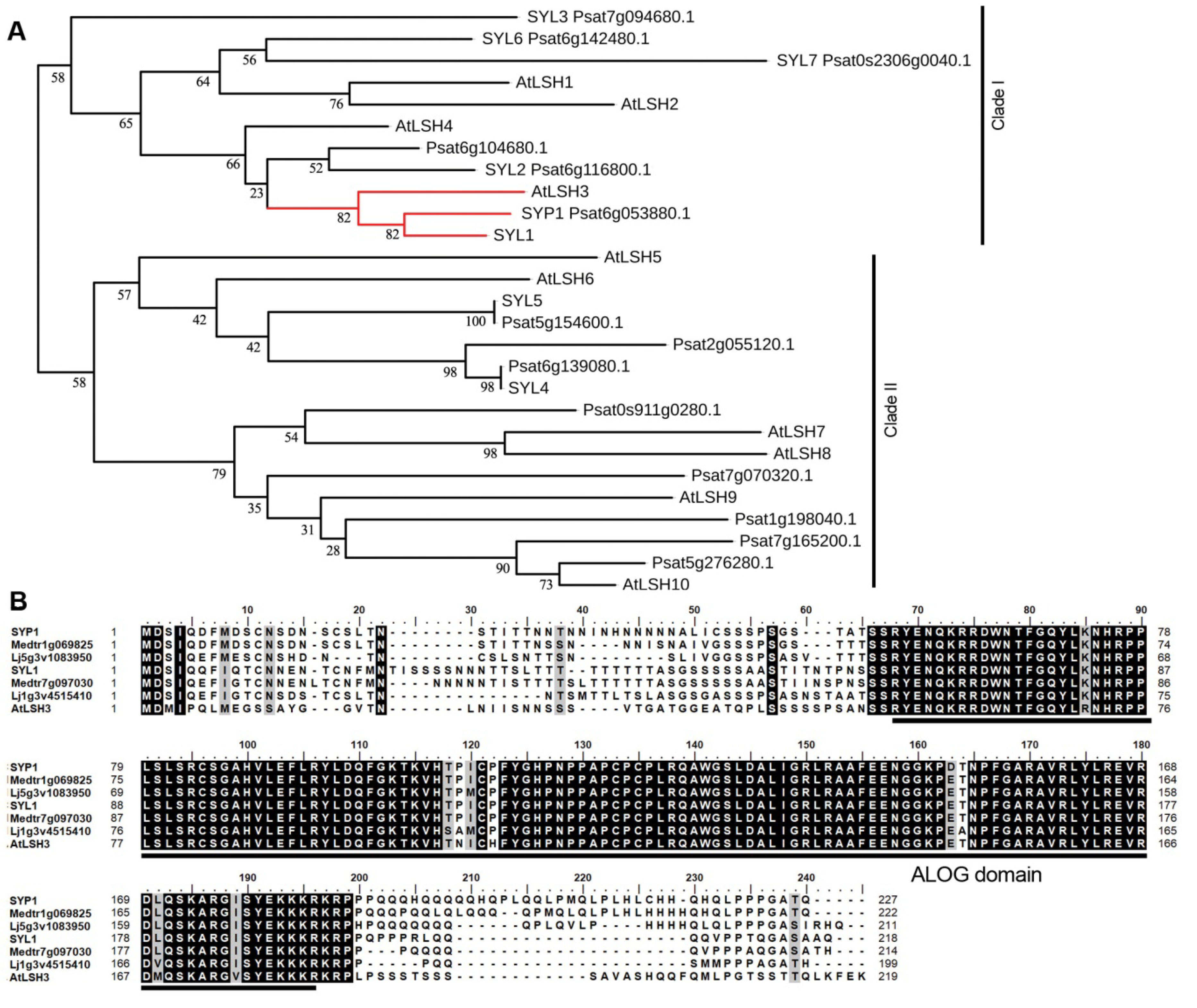 Ijms 21 04060 g003 Ijms 21 04060 g003