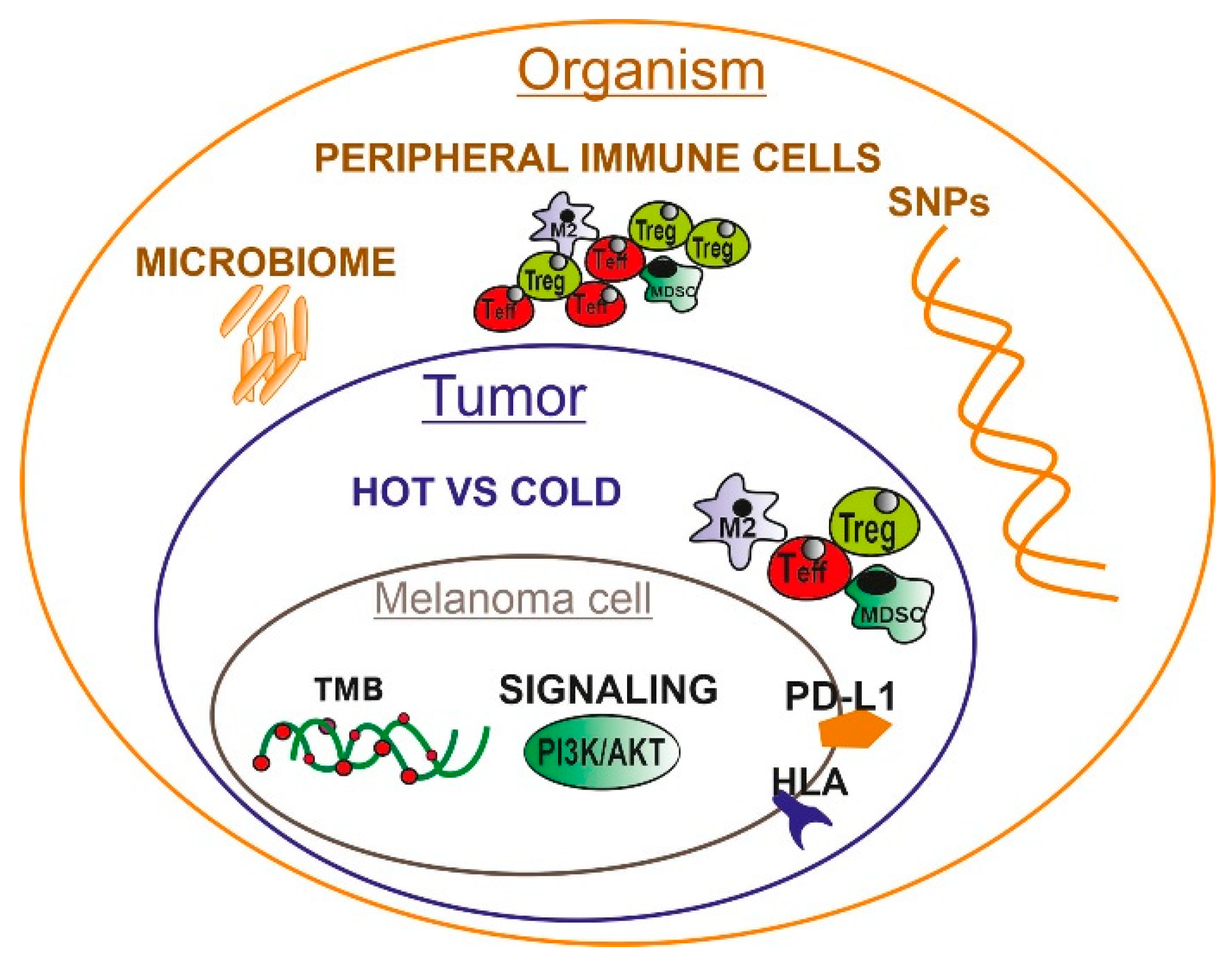 たすく Biological Factors behind Melanoma Response to Immune