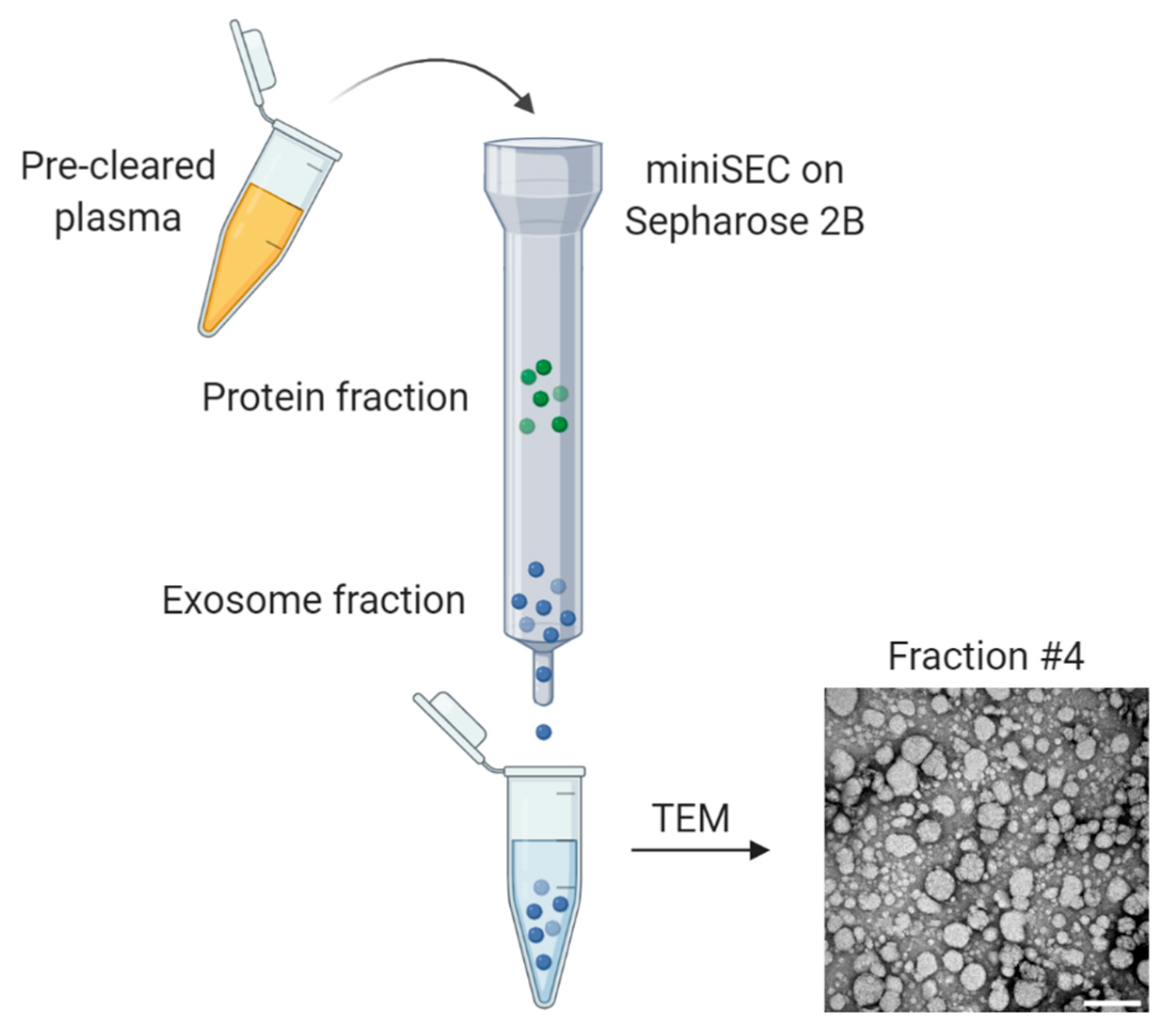 Ijms 21 04072 g002 550