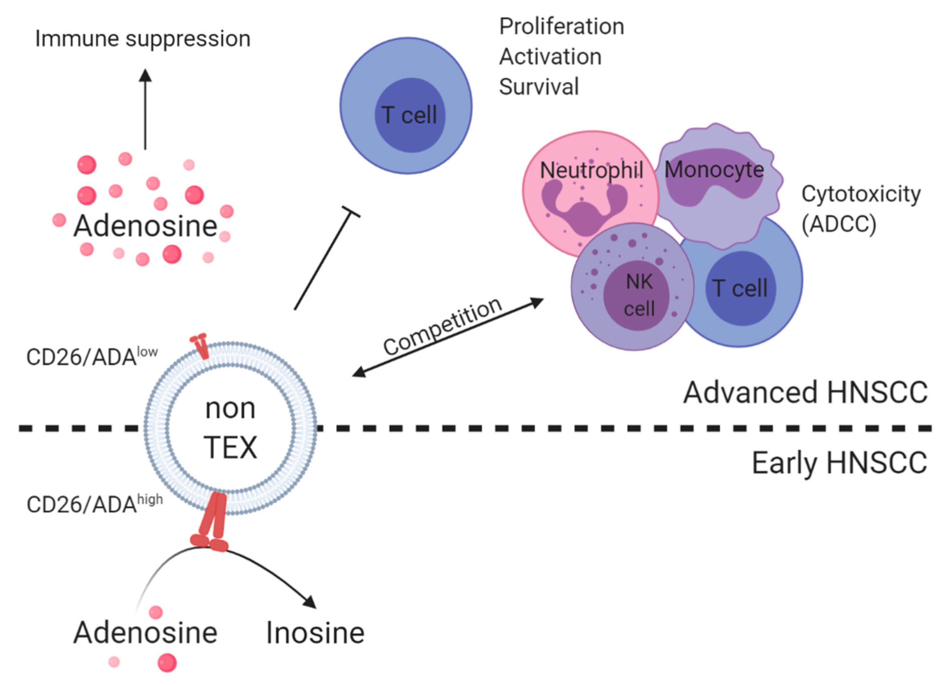 Ijms 21 04072 g004 550