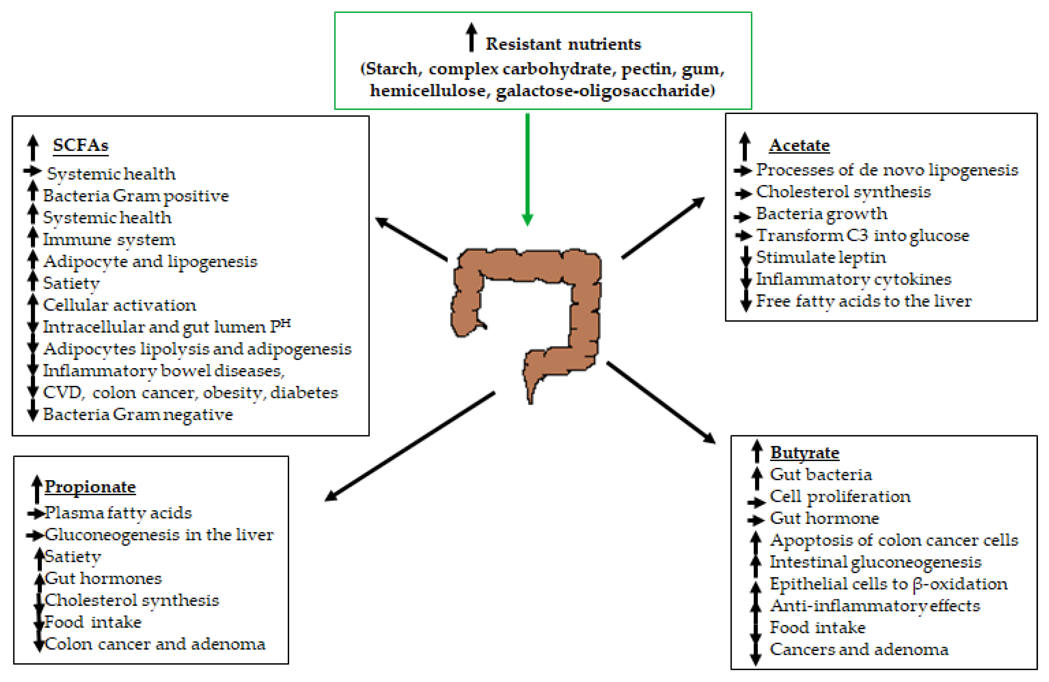 Ijms 21 04093 g001 Ijms 21 04093 g001