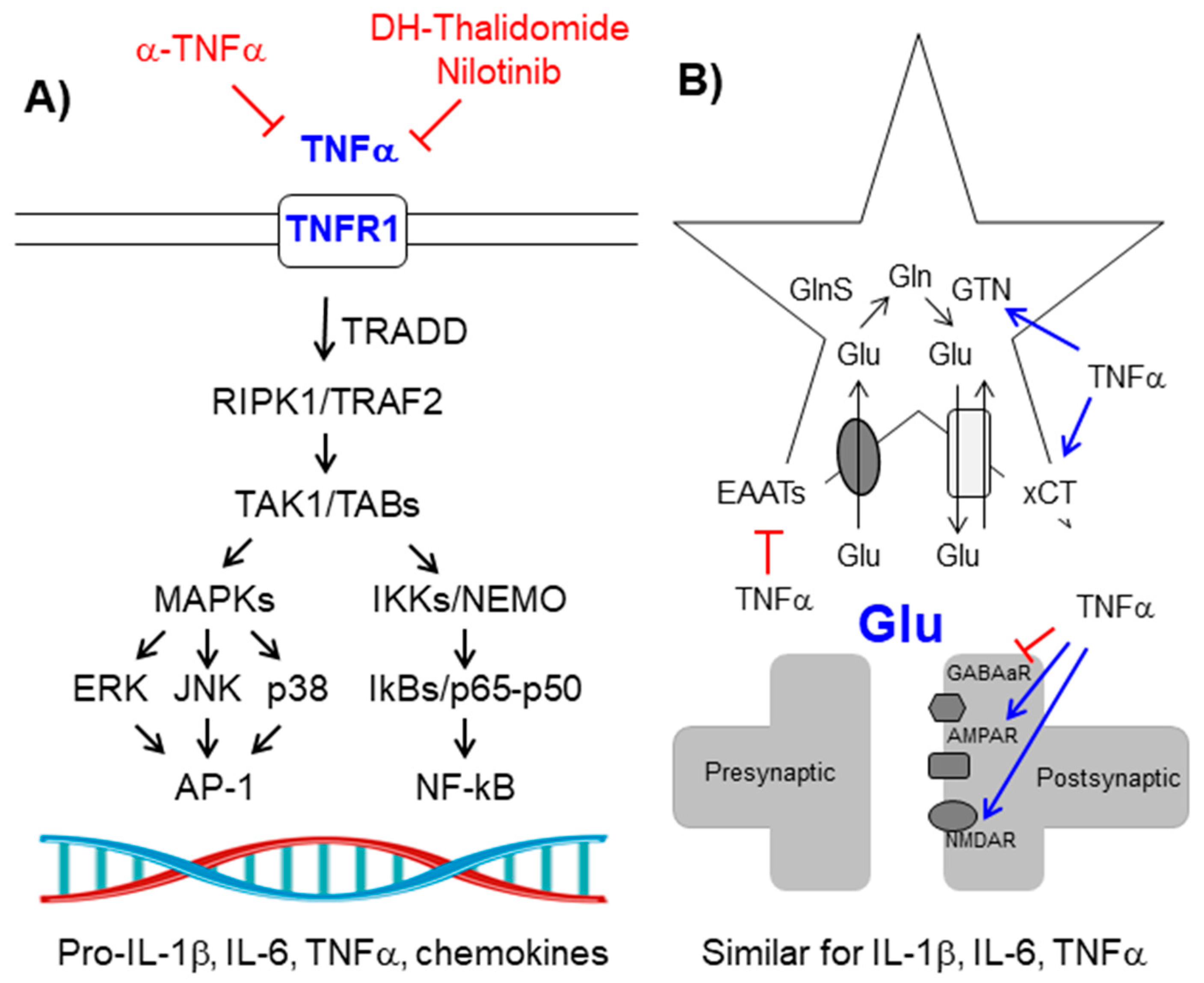 IJMS Free FullText Reactive Glia Inflammatory Signaling Pathways