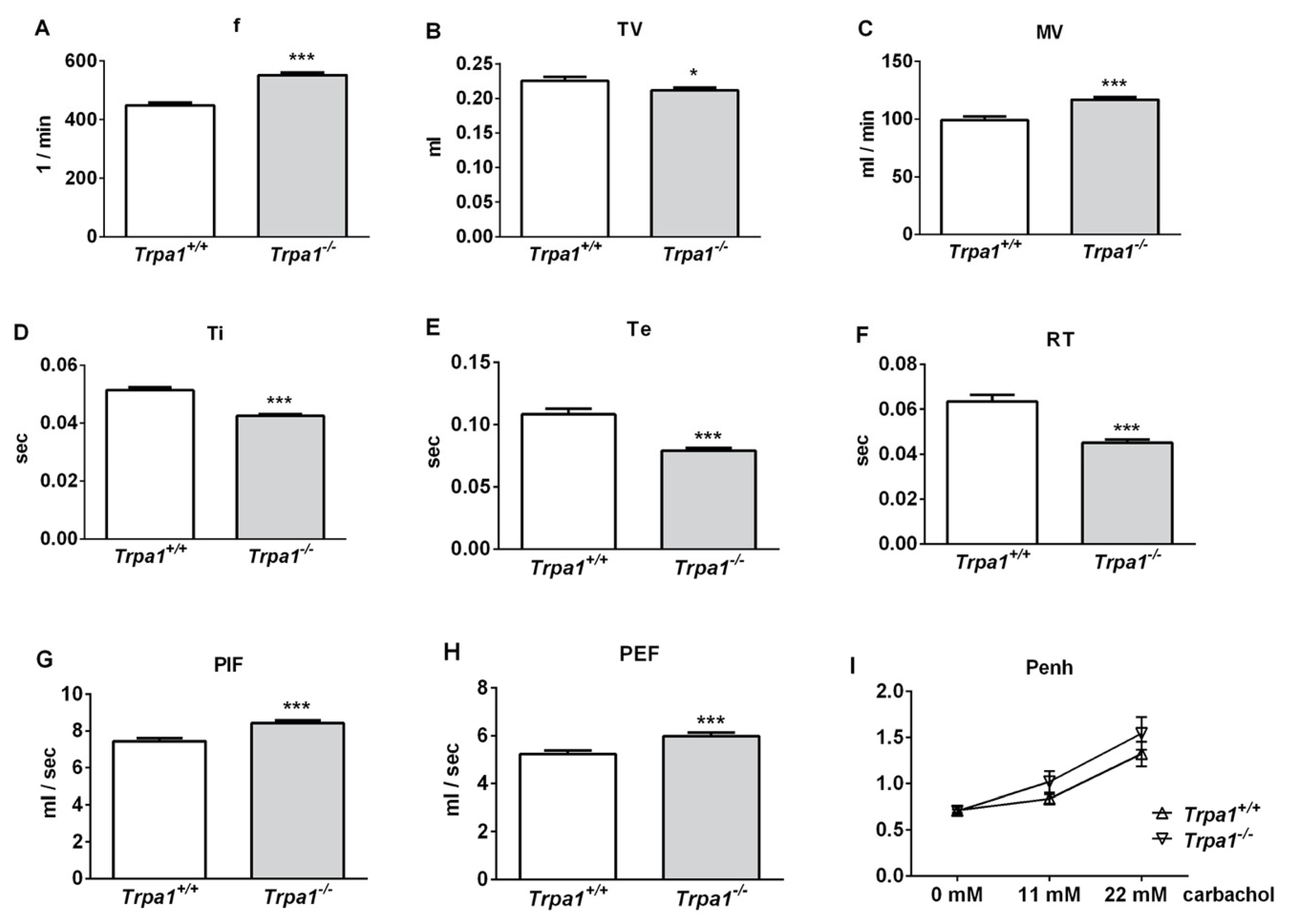 Ijms Free Full Text Complex Regulatory Role Of The Trpa1 Receptor In Acute And Chronic Airway Inflammation Mouse Models Html