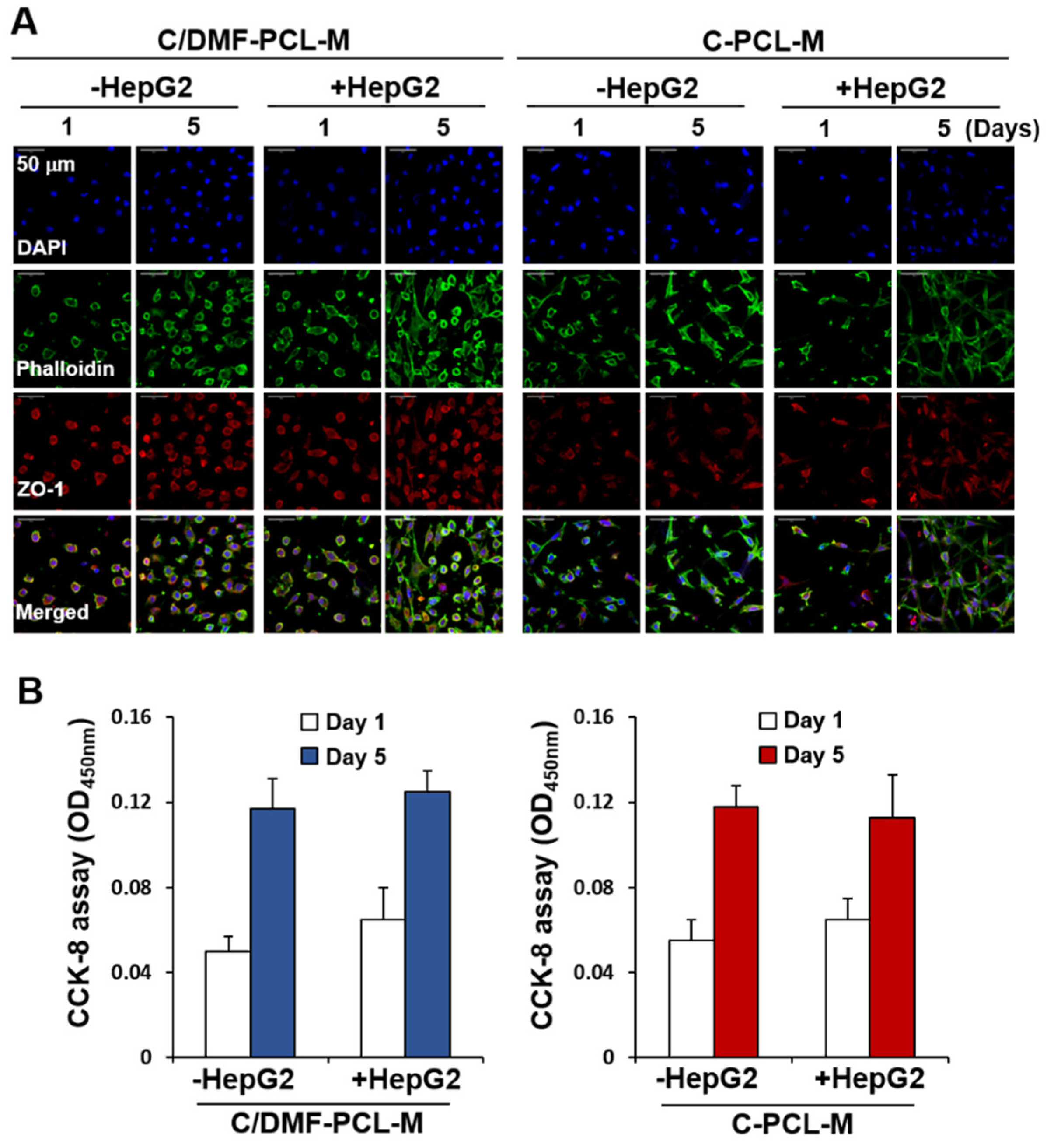 Ijms 21 04128 g005 Ijms 21 04128 g005