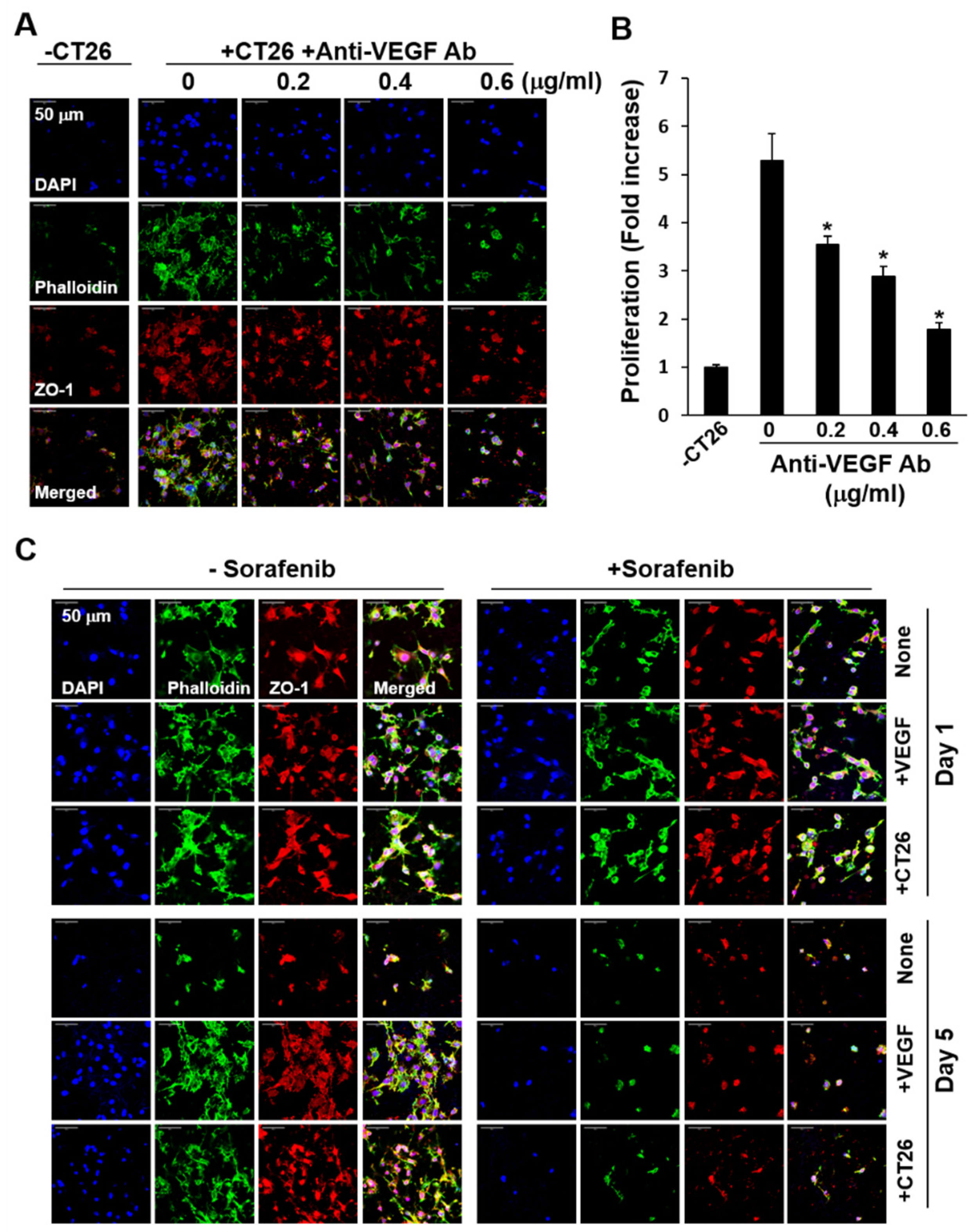 Ijms 21 04128 g008 Ijms 21 04128 g008