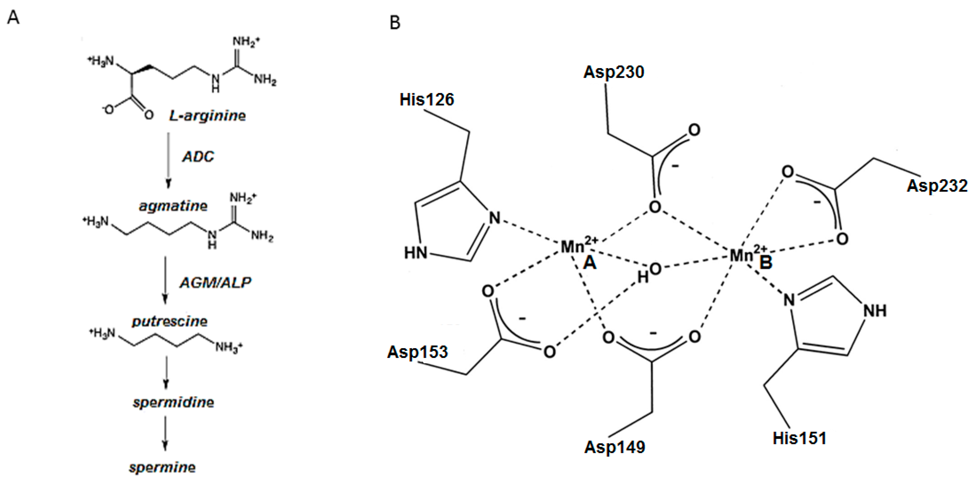 Ijms 21 04132 g001 Ijms 21 04132 g001