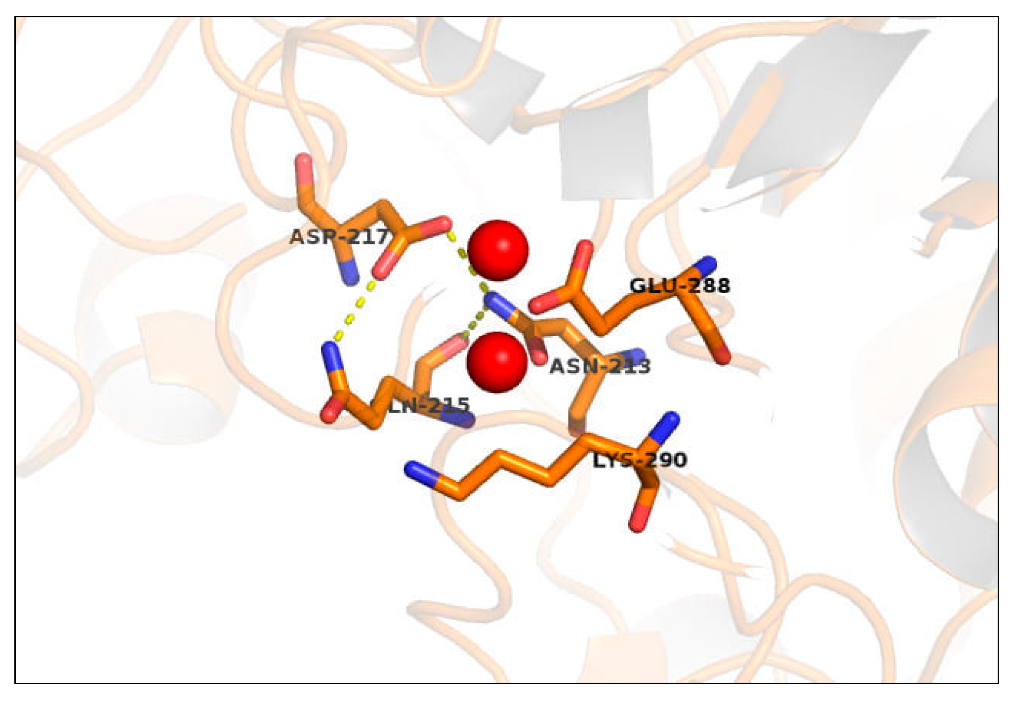 Ijms 21 04132 g002 Ijms 21 04132 g002