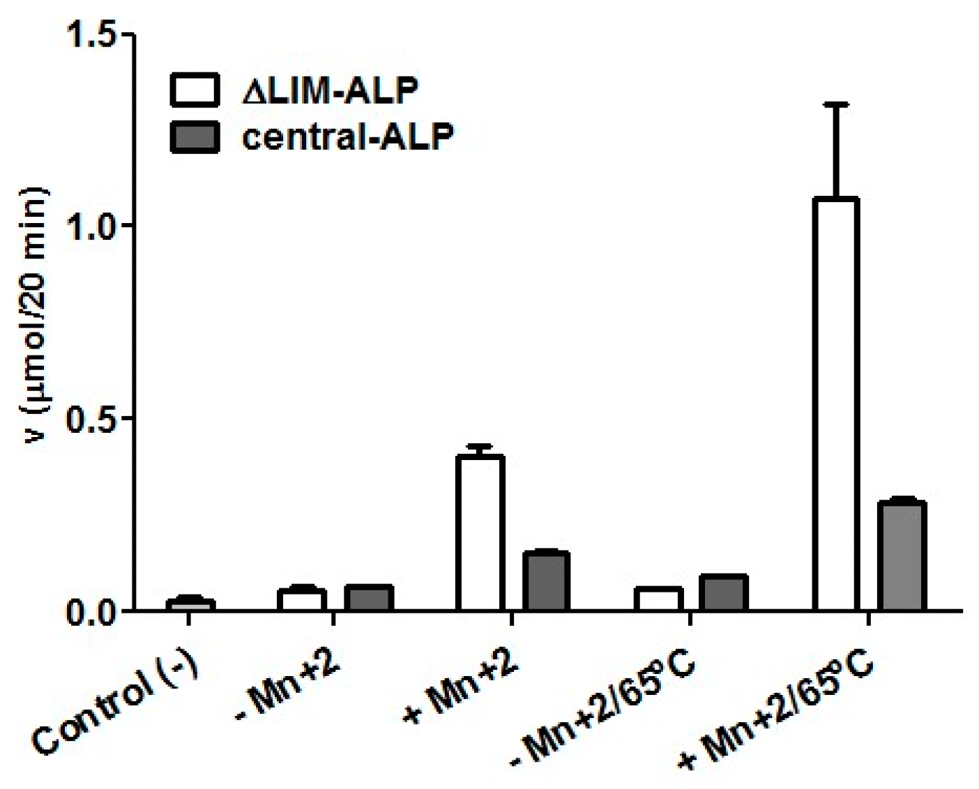 Ijms 21 04132 g004 Ijms 21 04132 g004
