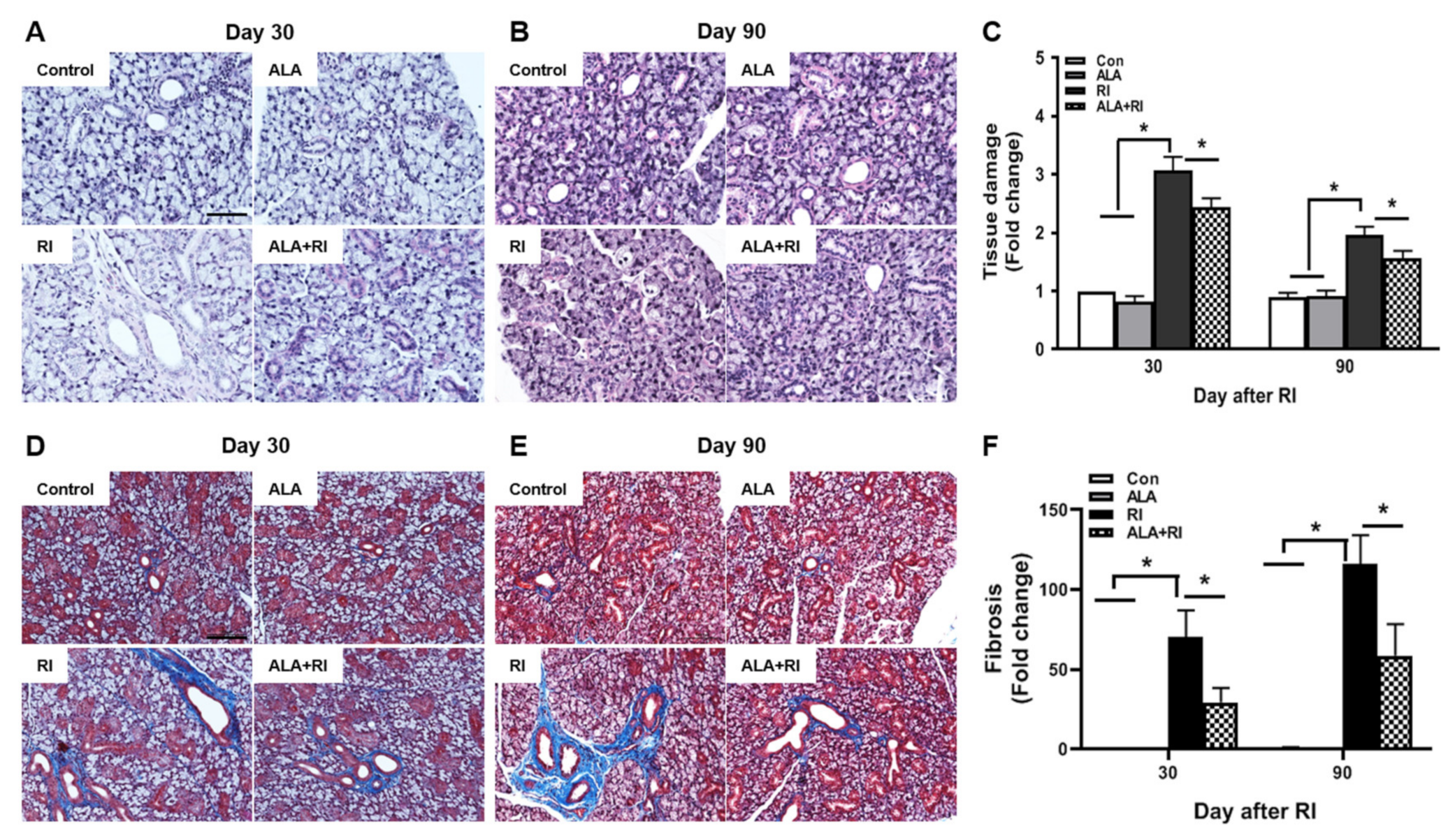 Ijms 21 04136 g002 Ijms 21 04136 g002