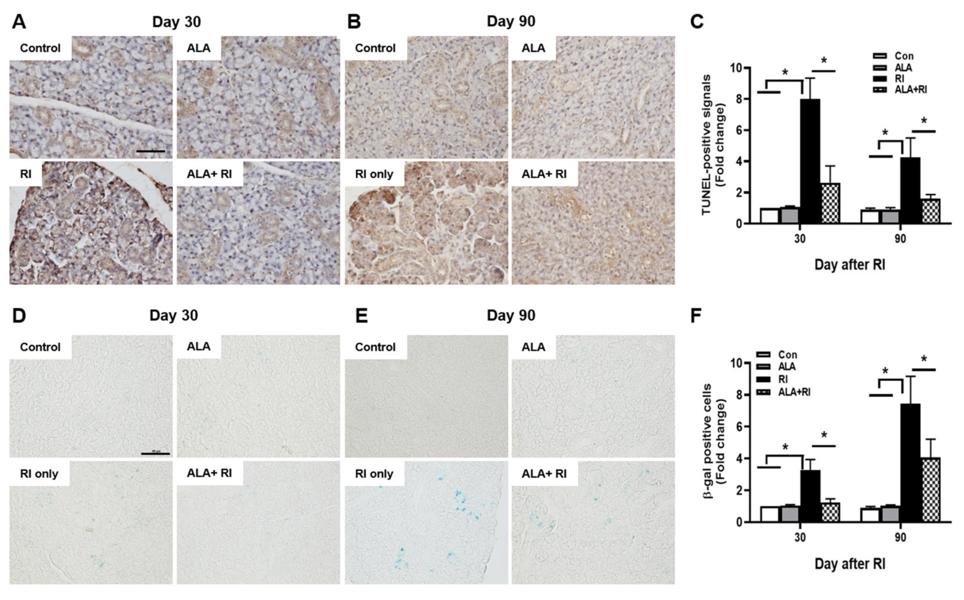 Ijms 21 04136 g003 Ijms 21 04136 g003