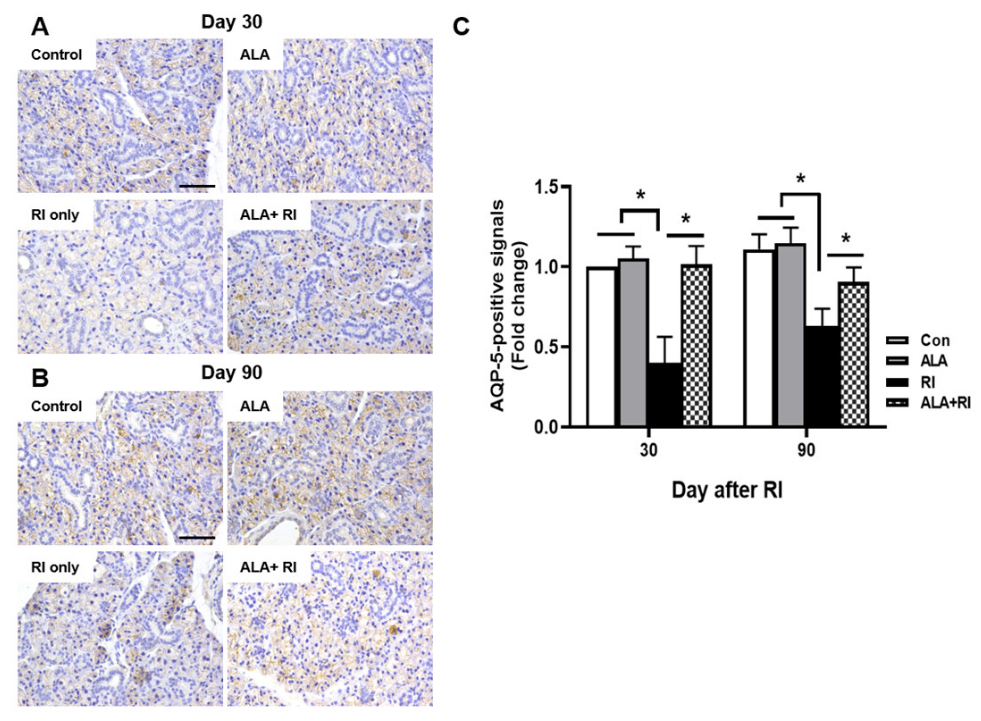 Ijms 21 04136 g004 Ijms 21 04136 g004