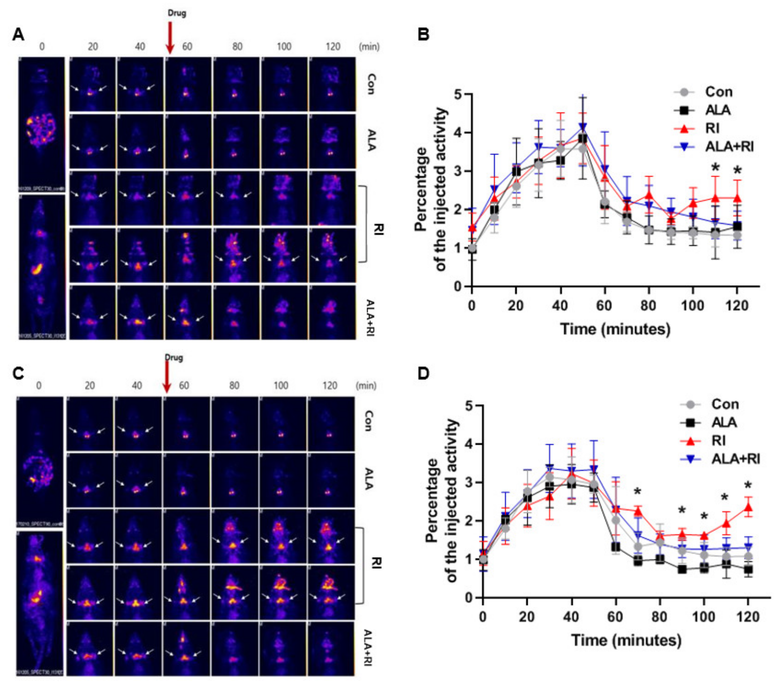 Ijms 21 04136 g005 Ijms 21 04136 g005