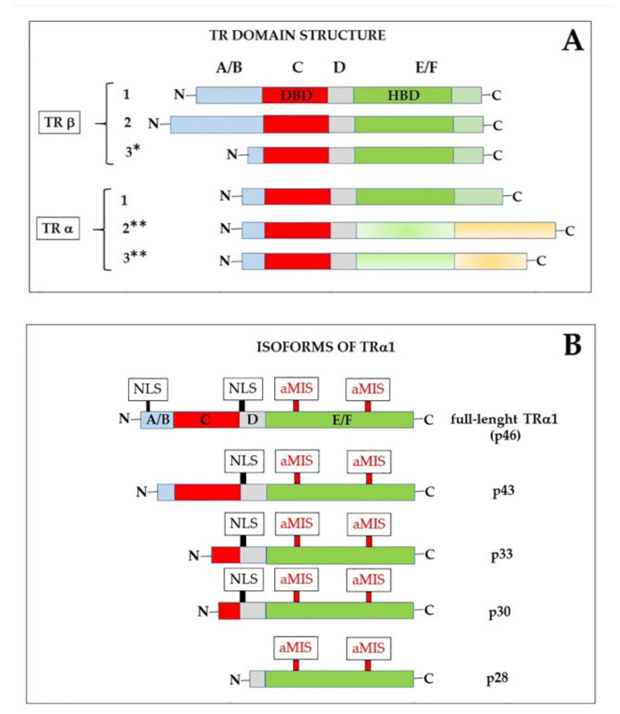 Ijms 21 04140 g003 Ijms 21 04140 g003