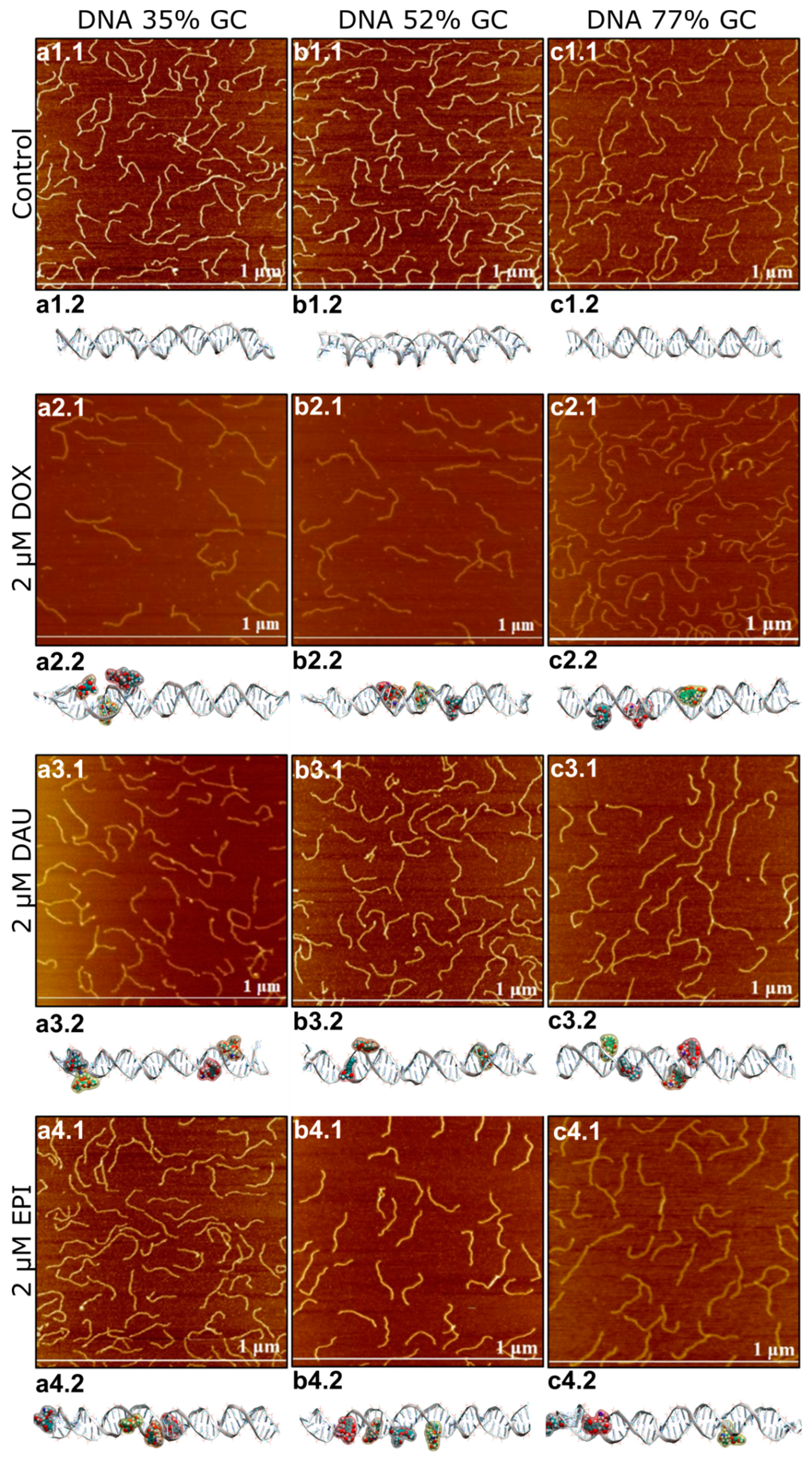 Ijms 21 04142 g001 Ijms 21 04142 g001