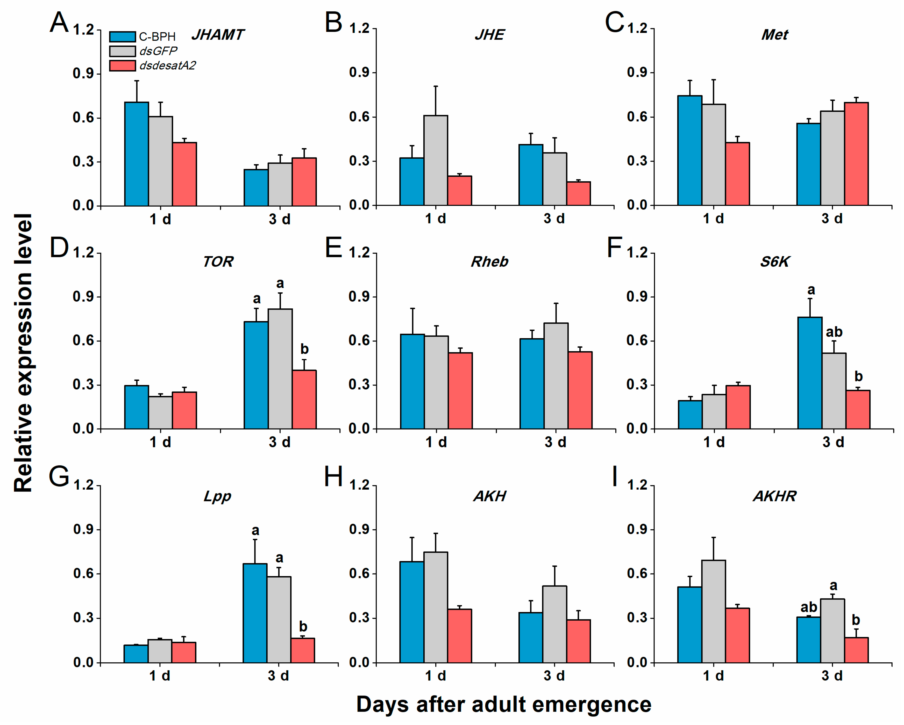Ijms 21 04143 g008 Ijms 21 04143 g008