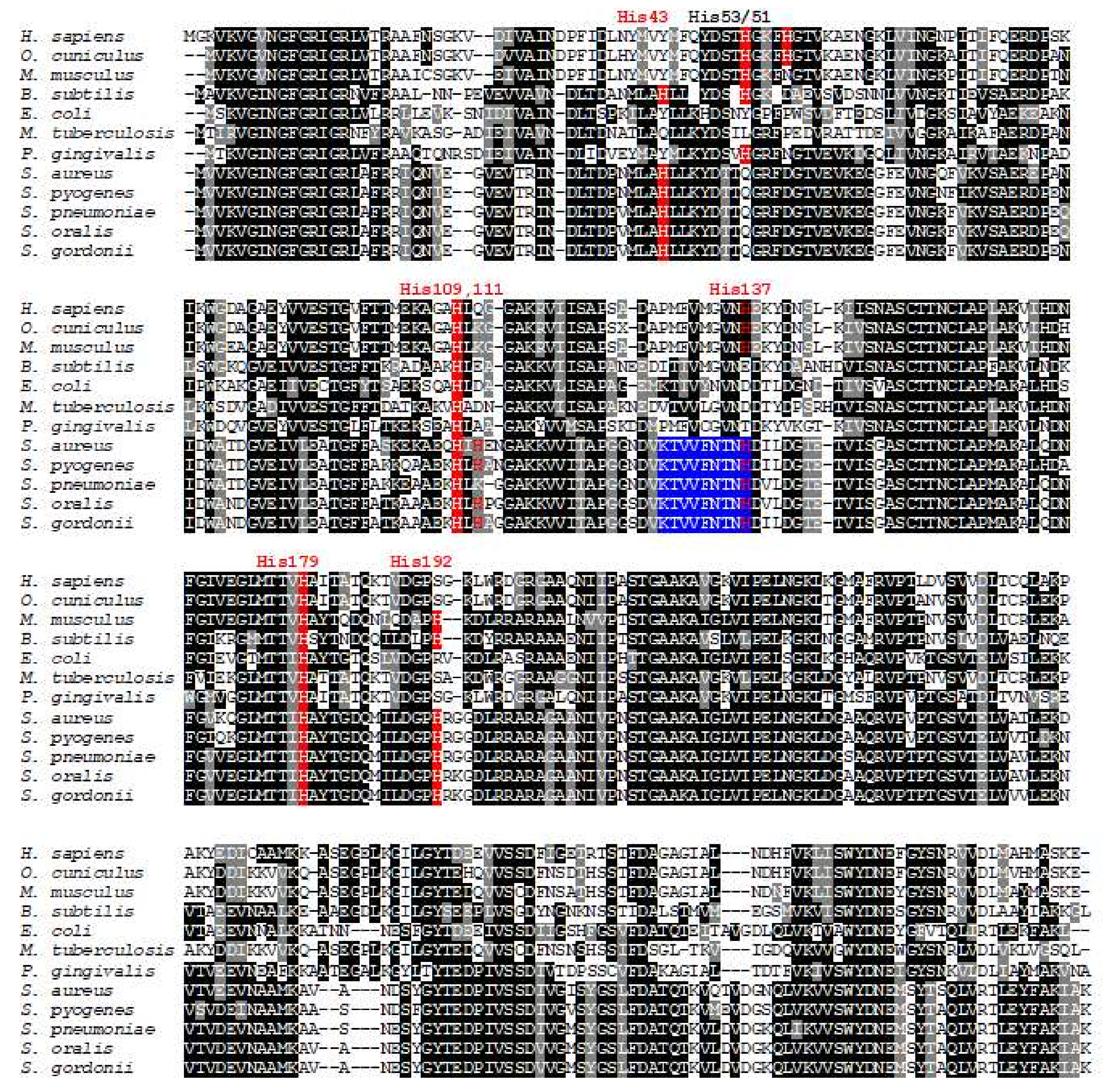 Ijms 21 04150 g001 Ijms 21 04150 g001
