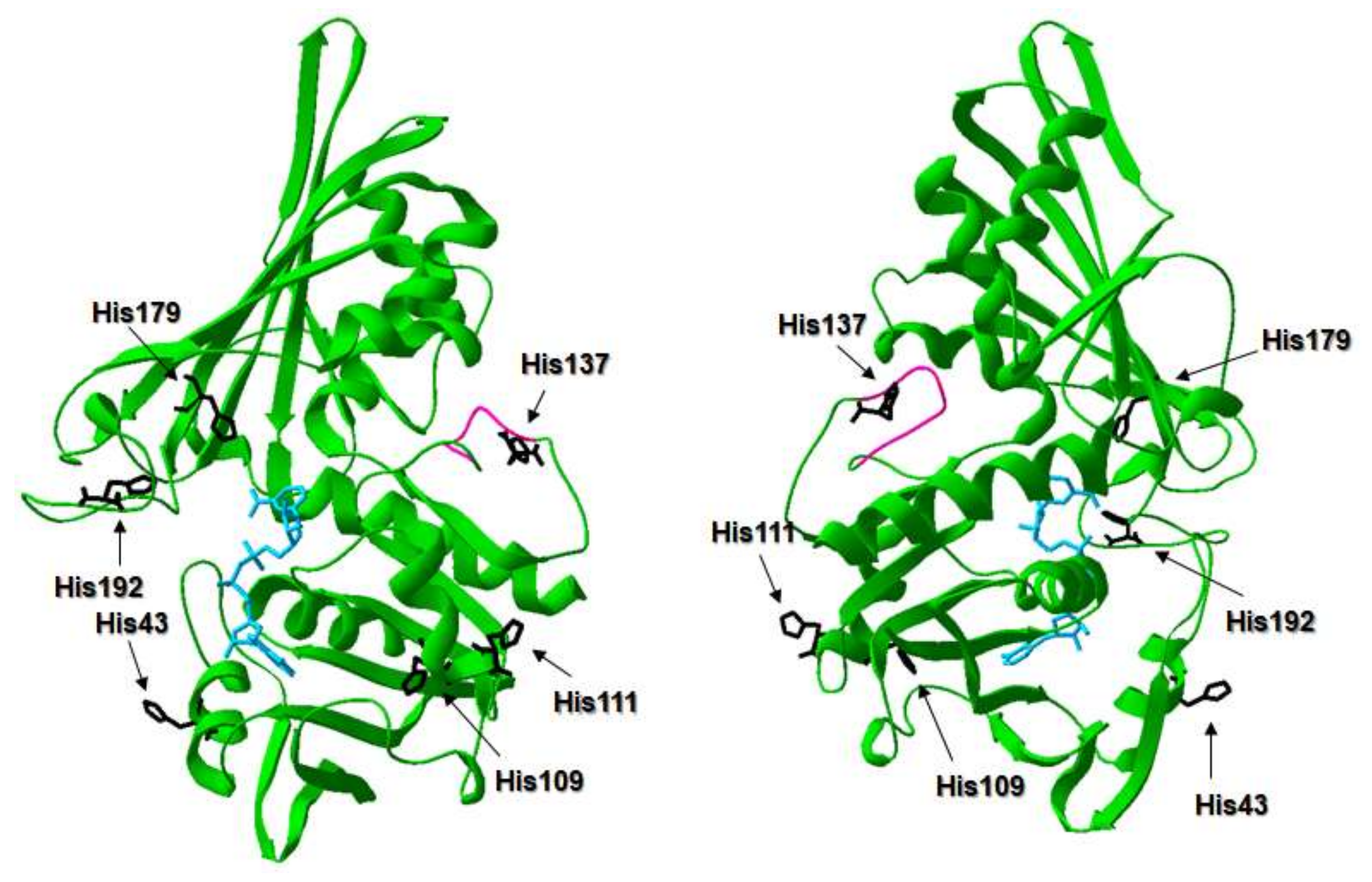 Ijms 21 04150 g002 Ijms 21 04150 g002