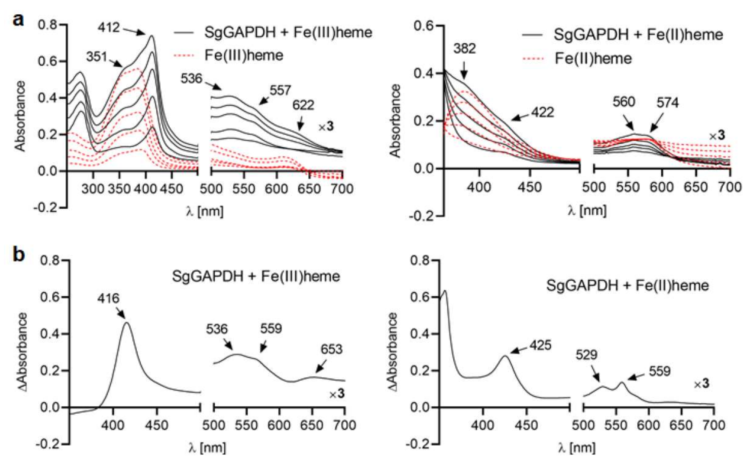Ijms 21 04150 g003 Ijms 21 04150 g003