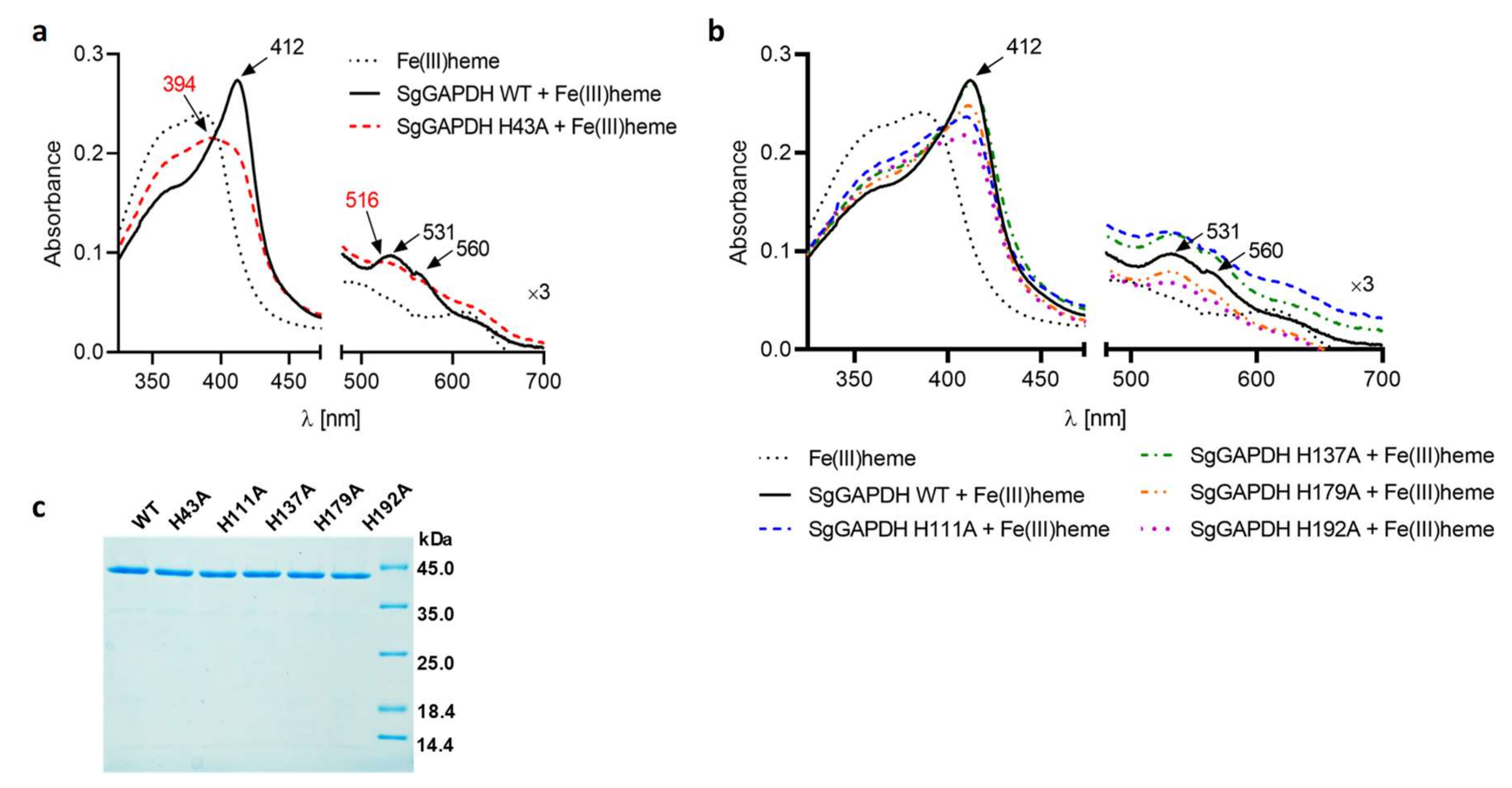 Ijms 21 04150 g004 Ijms 21 04150 g004