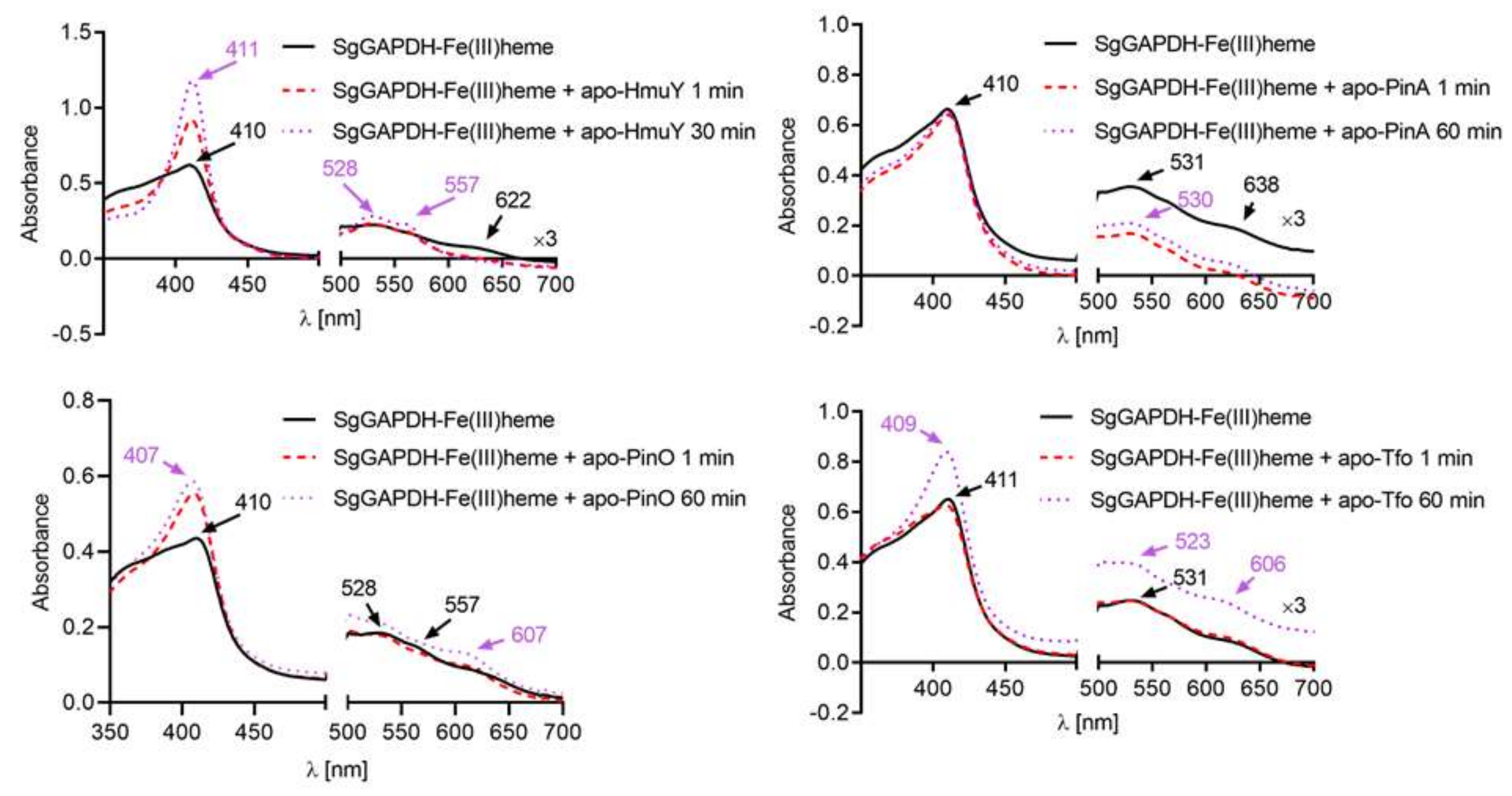 Ijms 21 04150 g005 Ijms 21 04150 g005