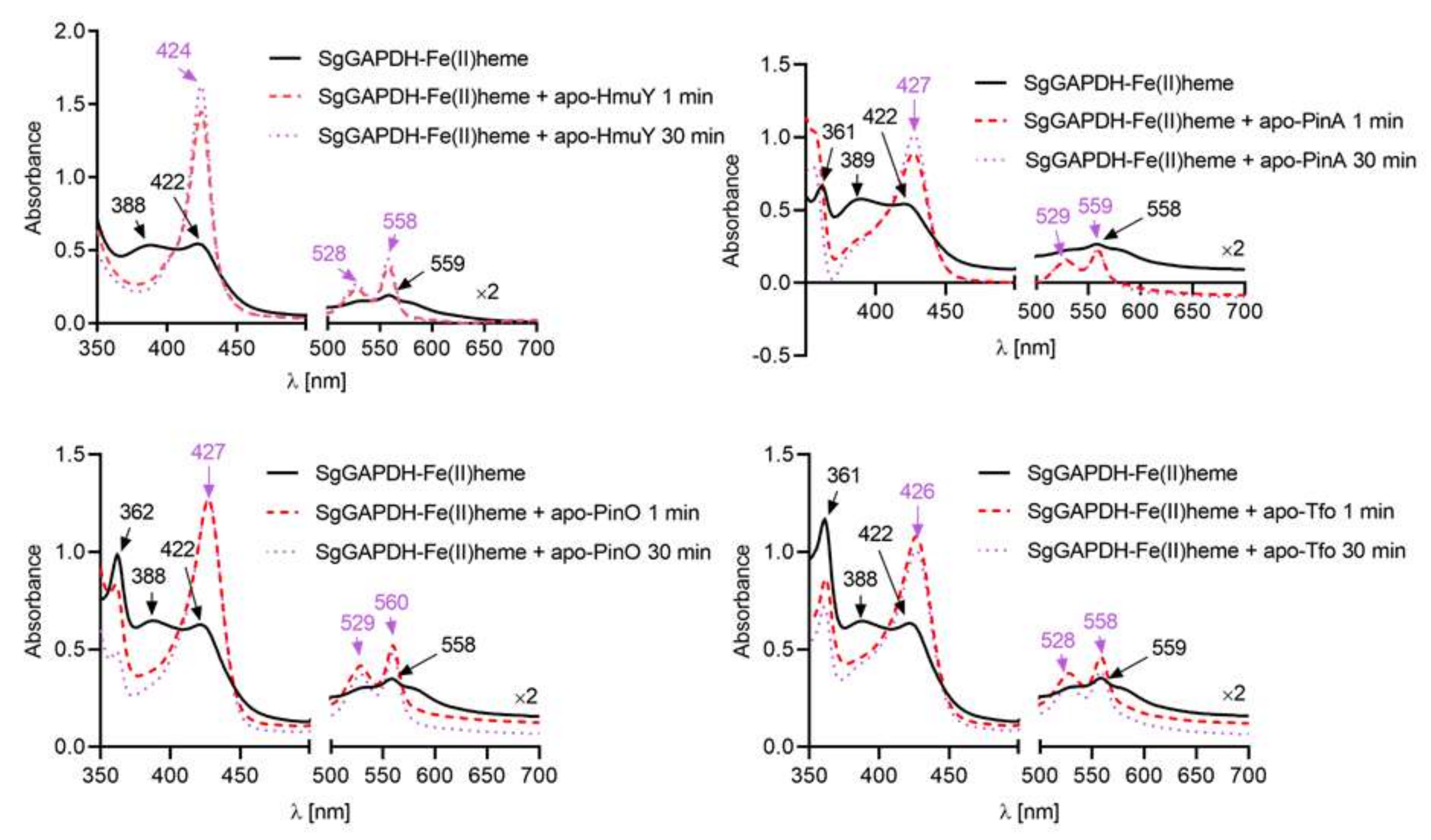 Ijms 21 04150 g006 Ijms 21 04150 g006