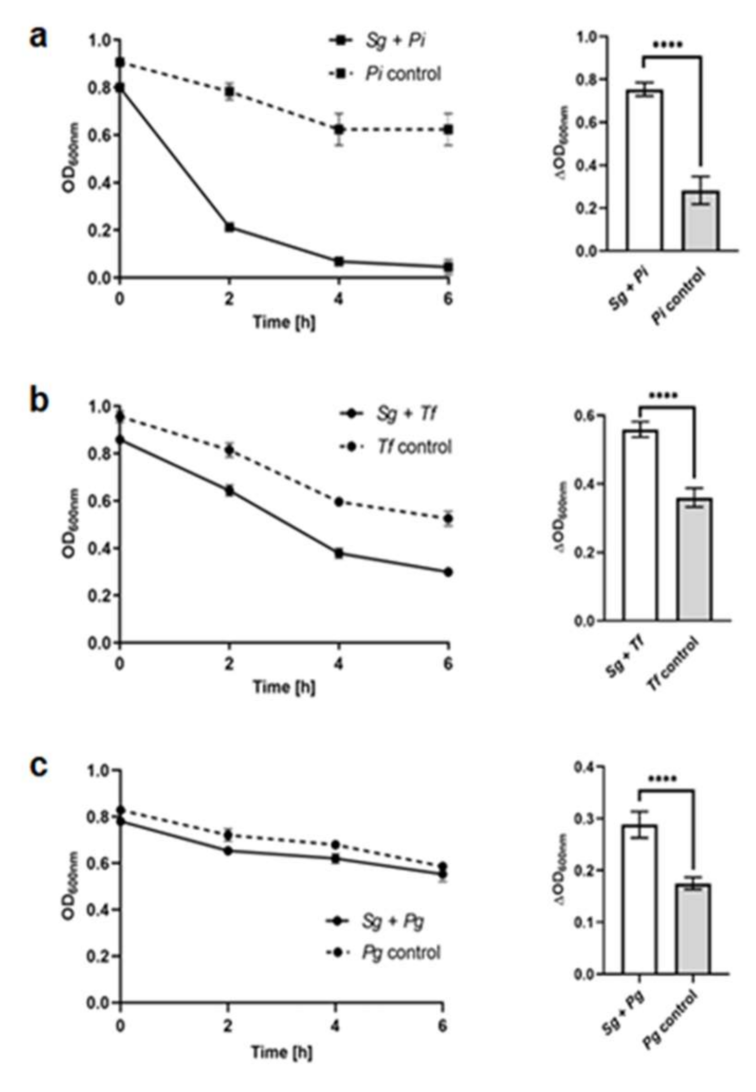 Ijms 21 04150 g008 Ijms 21 04150 g008