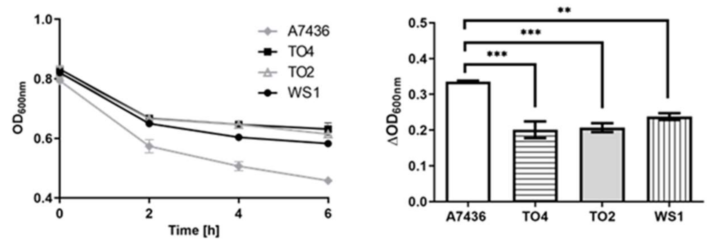 Ijms 21 04150 g009 Ijms 21 04150 g009