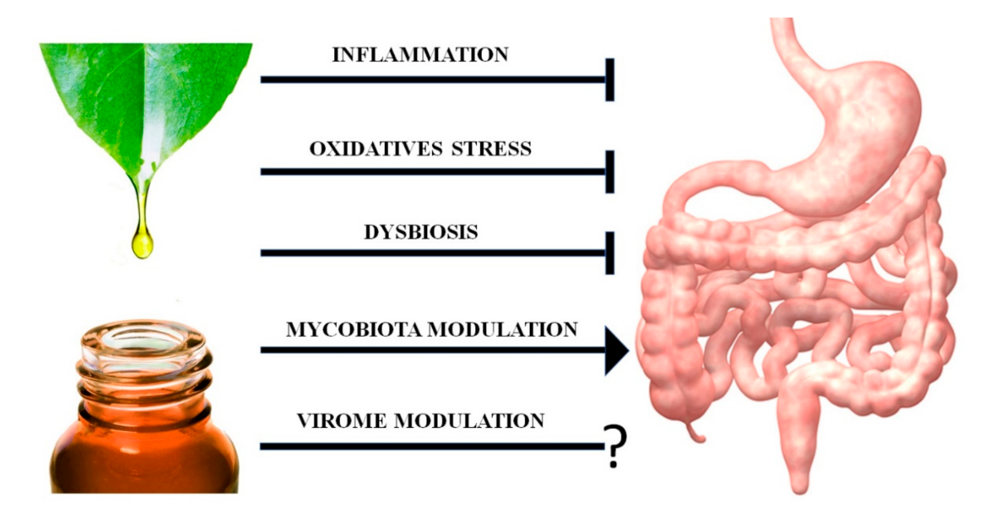 Ijms 21 04152 g001 Ijms 21 04152 g001