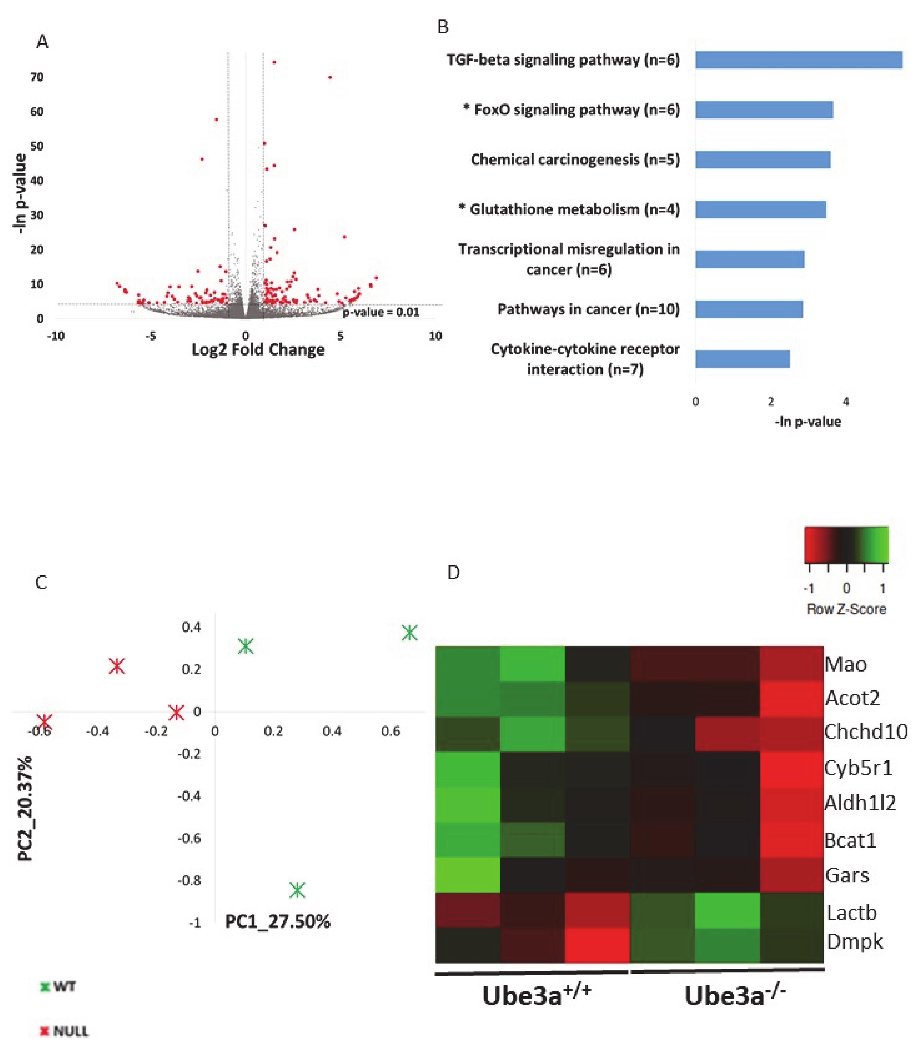 Ijms 21 04156 g001 Ijms 21 04156 g001
