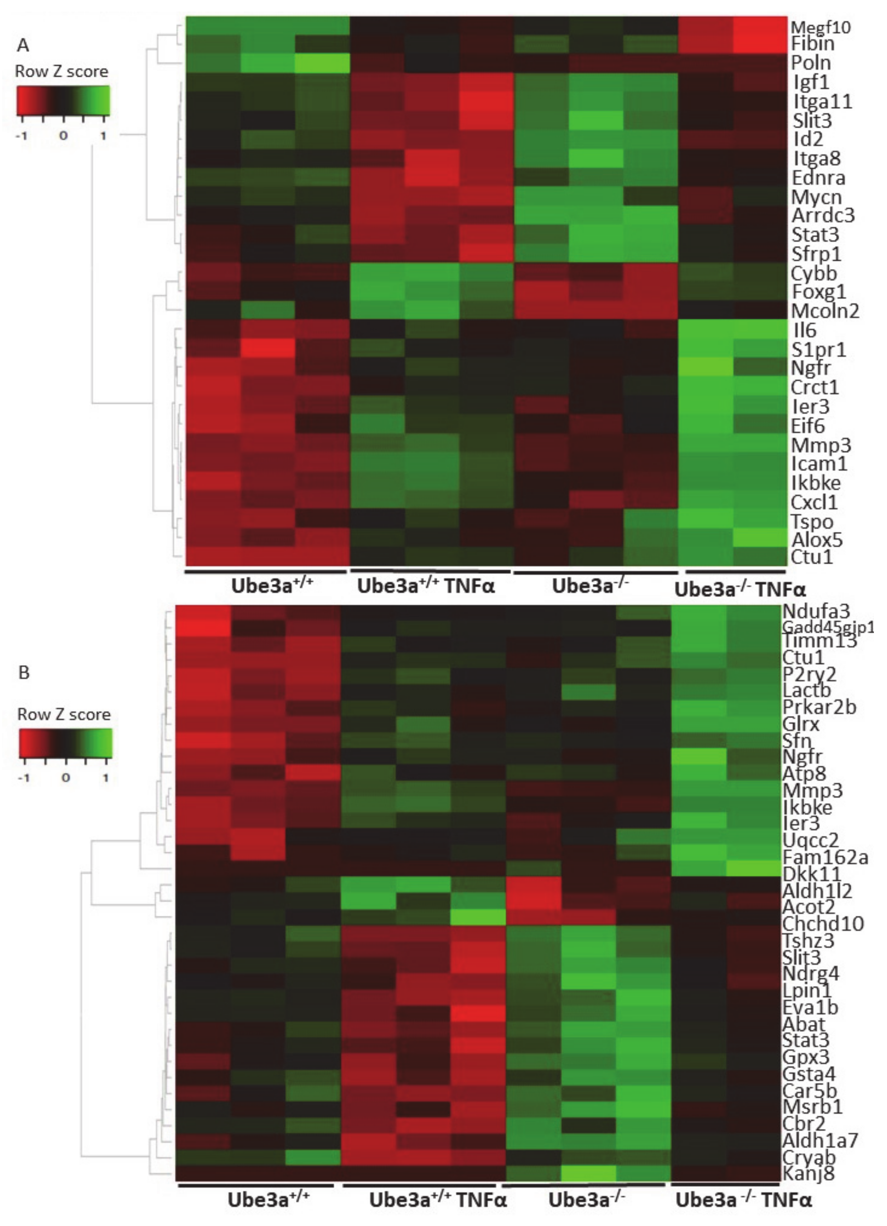 Ijms 21 04156 g005 Ijms 21 04156 g005