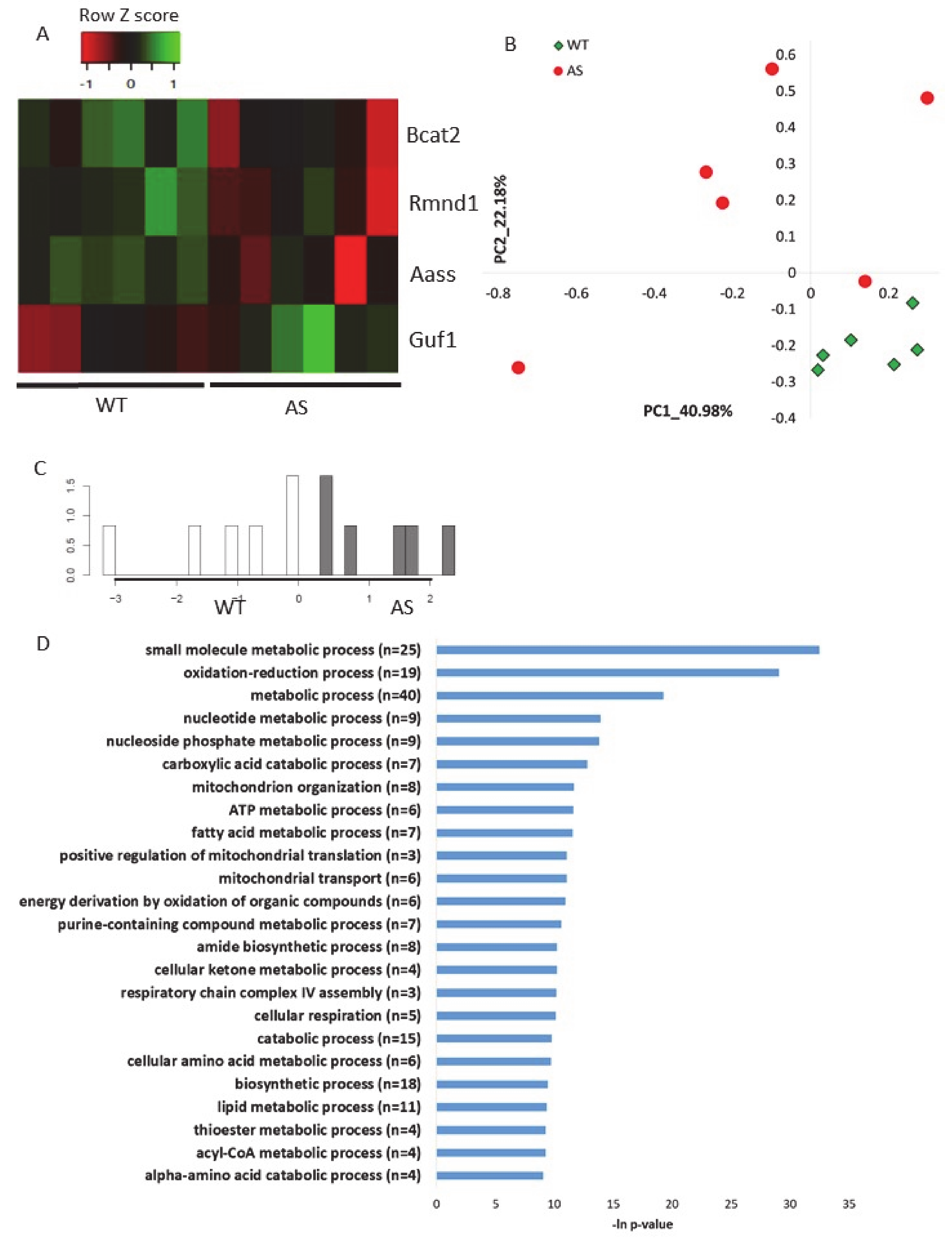 Ijms 21 04156 g006 Ijms 21 04156 g006