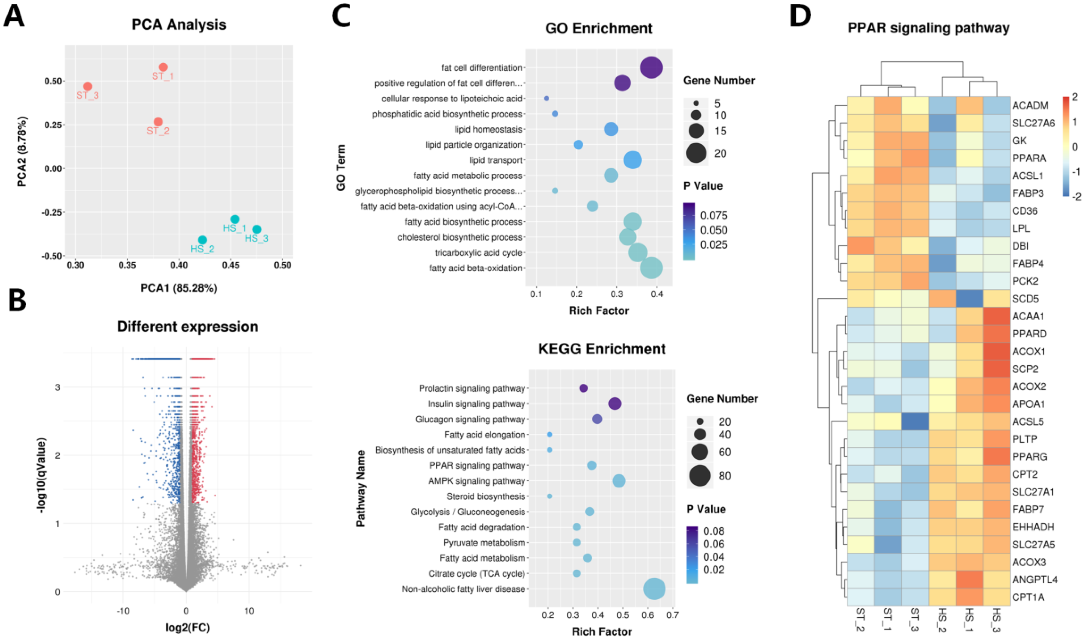 Ijms 21 04162 g002 Ijms 21 04162 g002