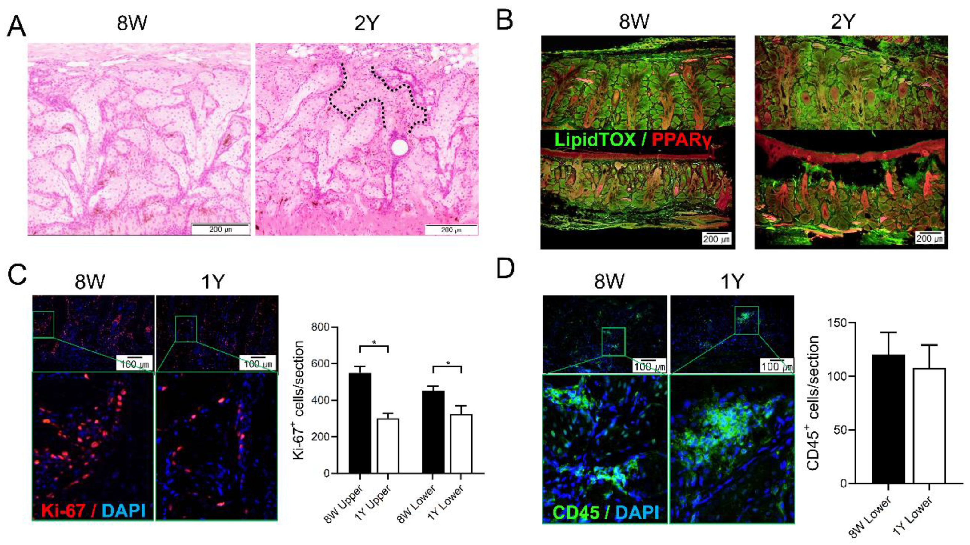 Ijms 21 04169 g003 Ijms 21 04169 g003