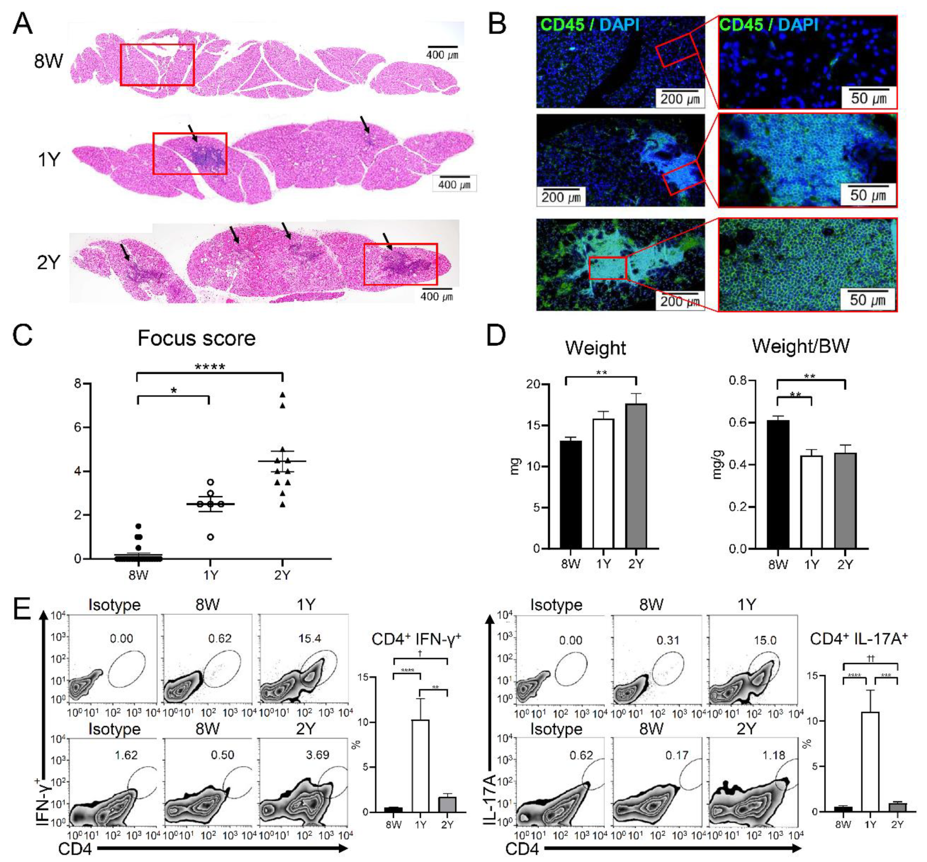 Ijms 21 04169 g005 Ijms 21 04169 g005