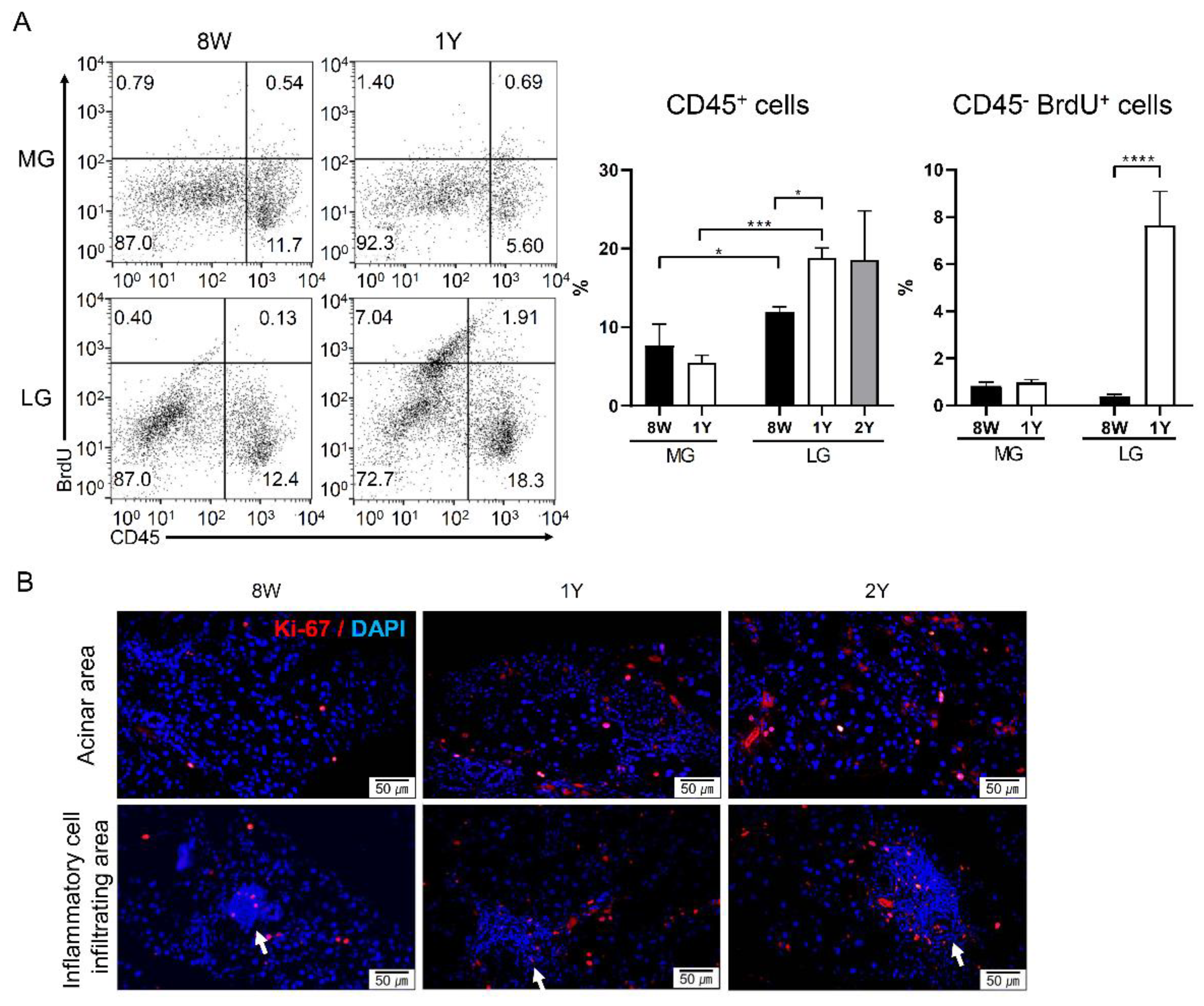 Ijms 21 04169 g0a1 Ijms 21 04169 g0a1