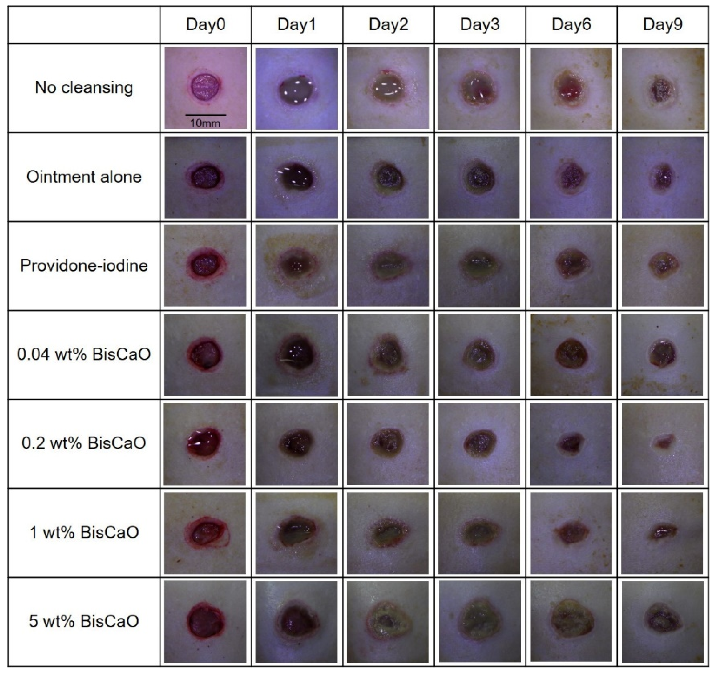 Ijms 21 04176 g003 Ijms 21 04176 g003