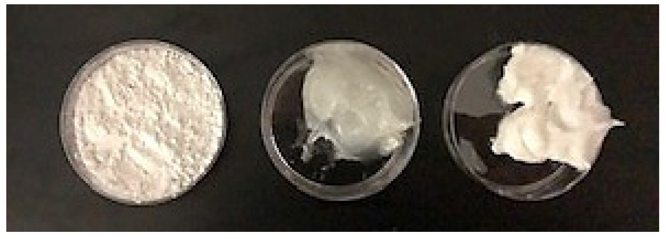 Ijms 21 04176 g007 Ijms 21 04176 g007